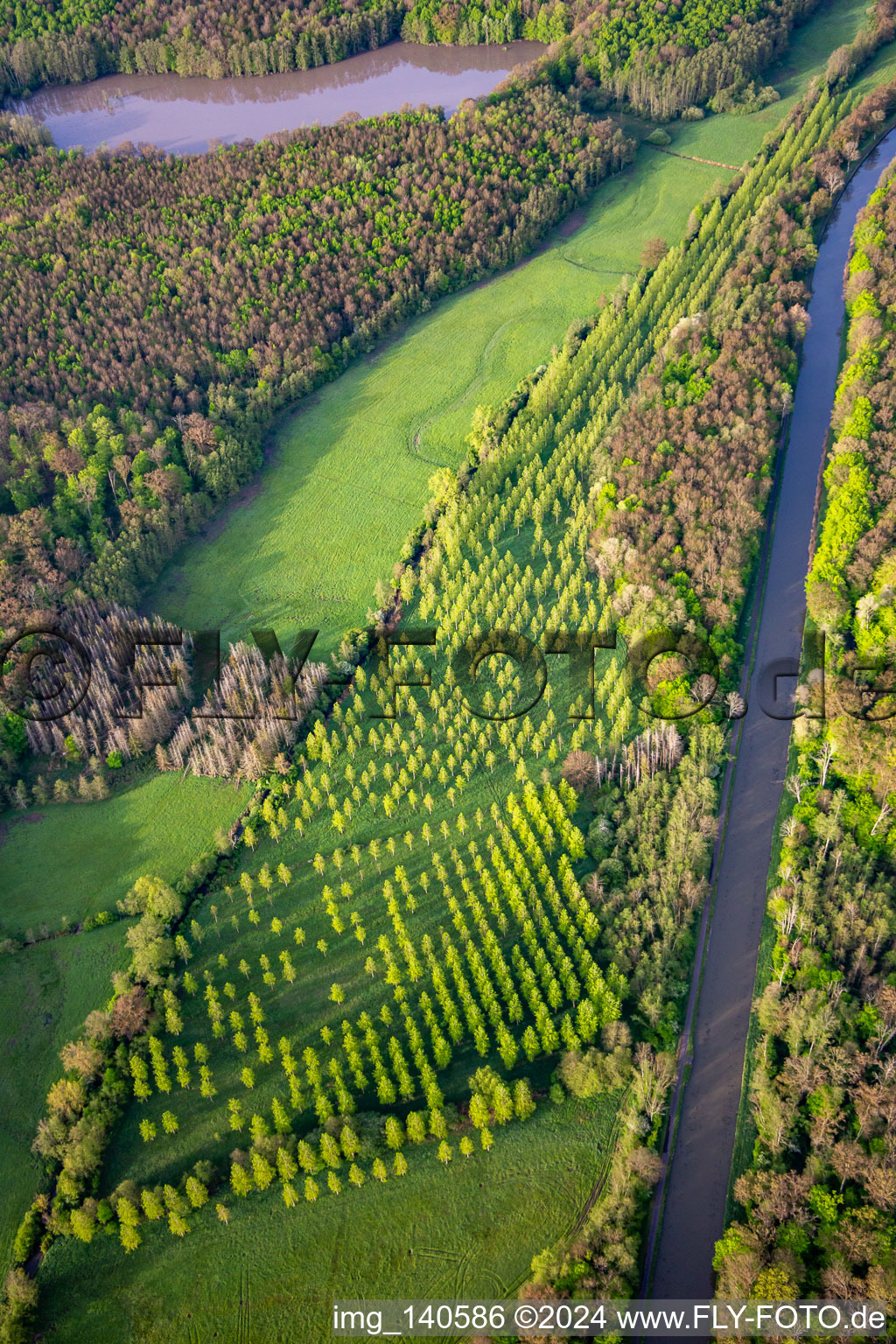 Vue aérienne de Protection sur le Canal des Houillères de la Sarre à Vibersviller dans le département Moselle, France