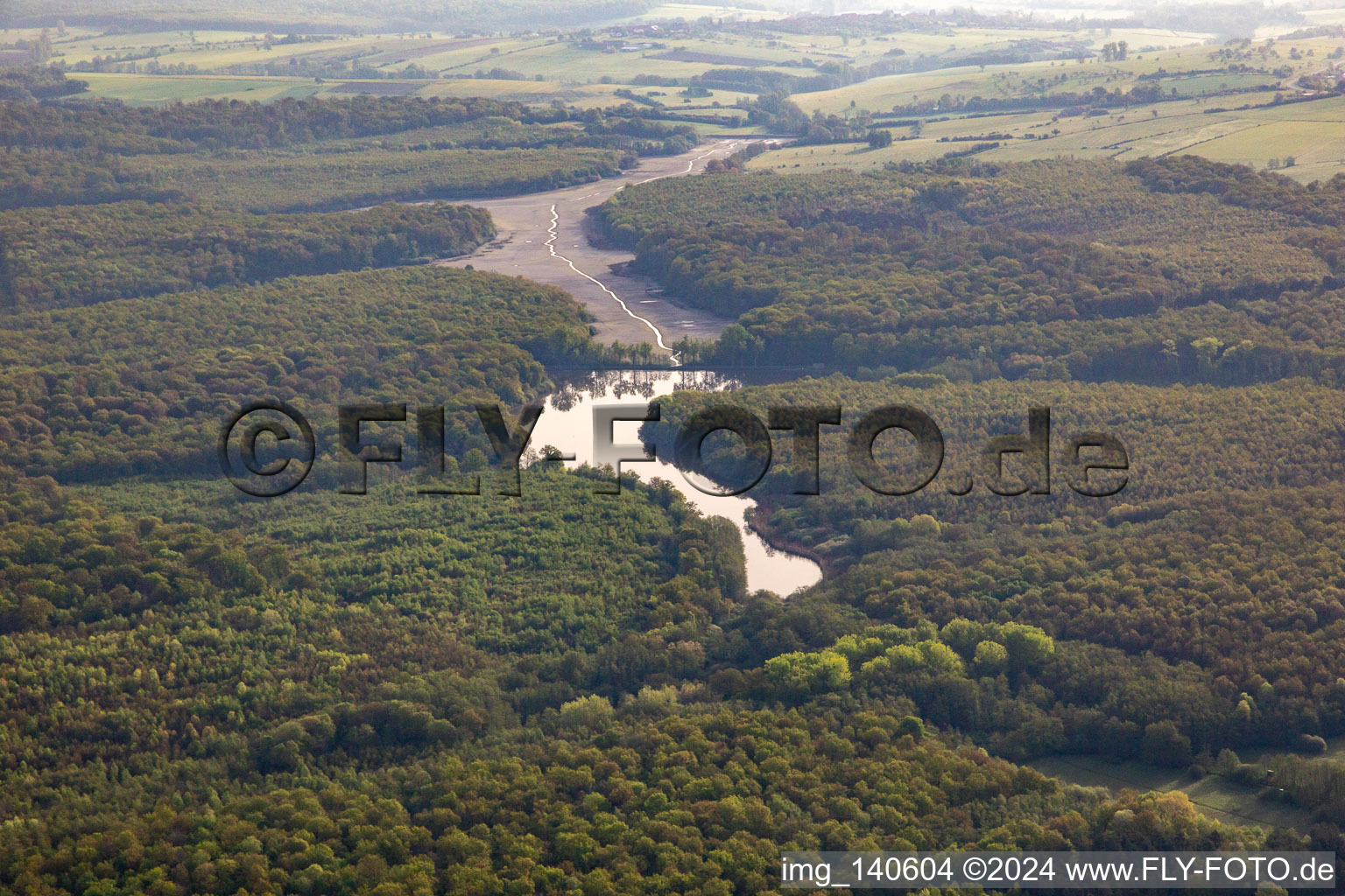 Vue aérienne de Étang commun dans la forêt à Fénétrange dans le département Moselle, France