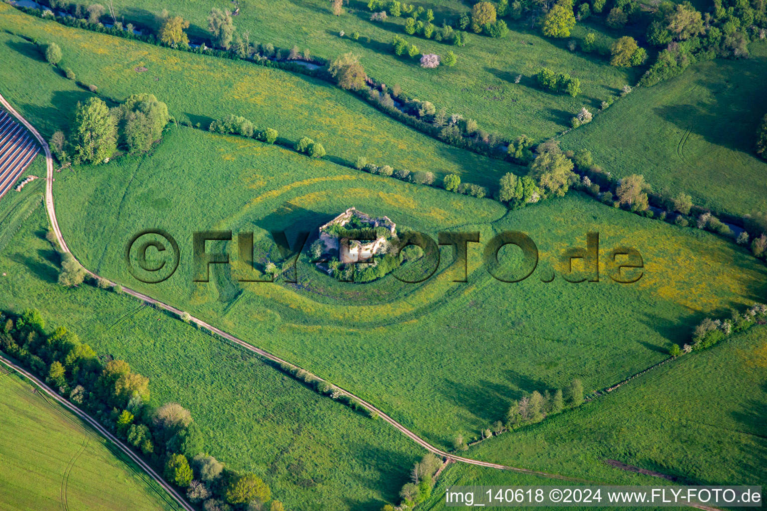 Vue aérienne de Château du Gerolseck à Niederstinzel dans le département Moselle, France