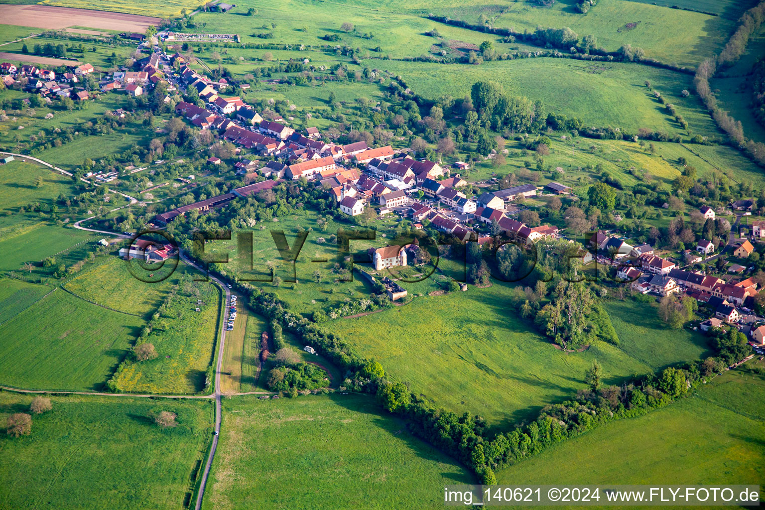 Vue aérienne de Château de Diedendorf à Diedendorf dans le département Bas Rhin, France