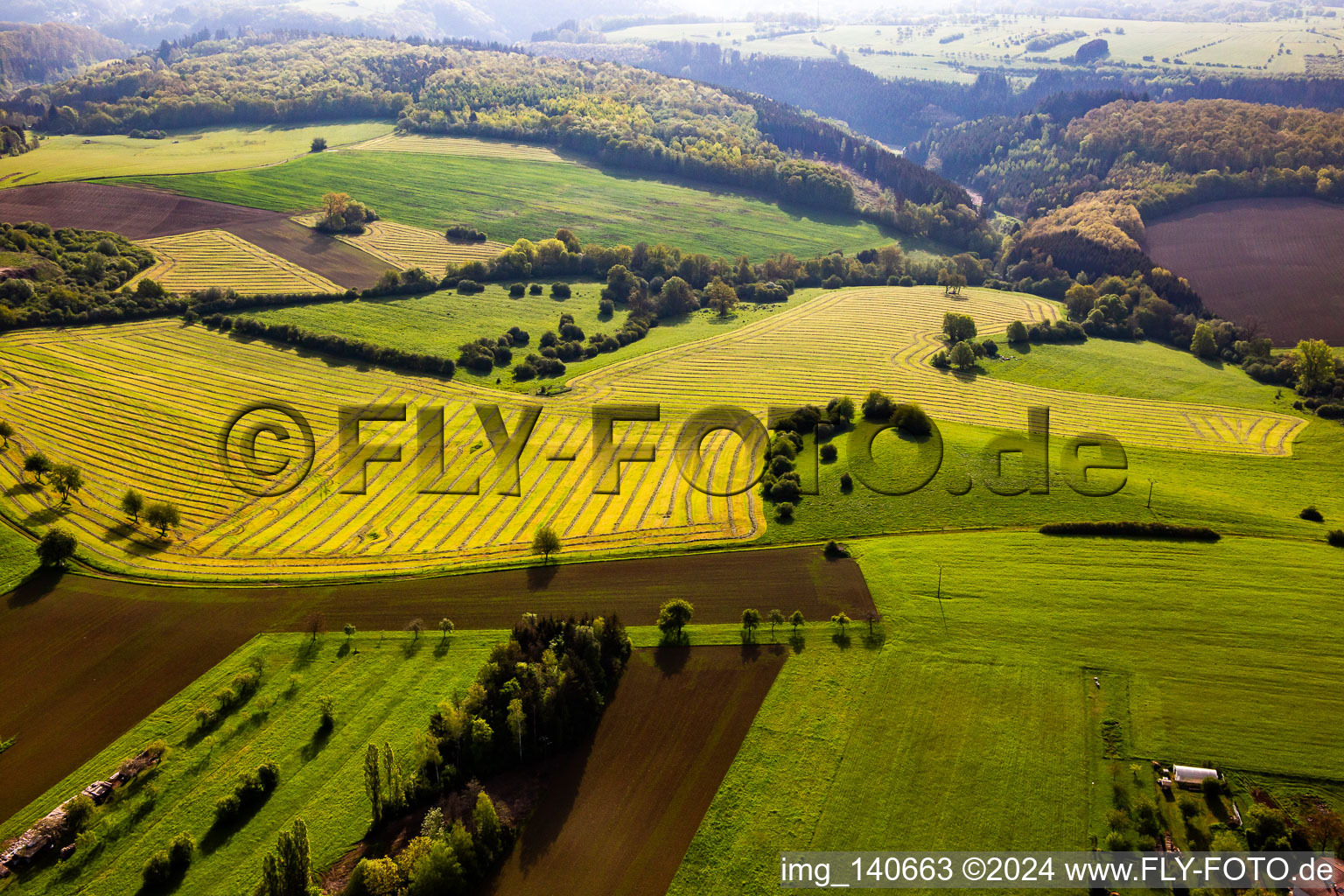 Vue aérienne de Prairies fraîchement tondues avec rangées de foin à Petit-Réderching dans le département Moselle, France