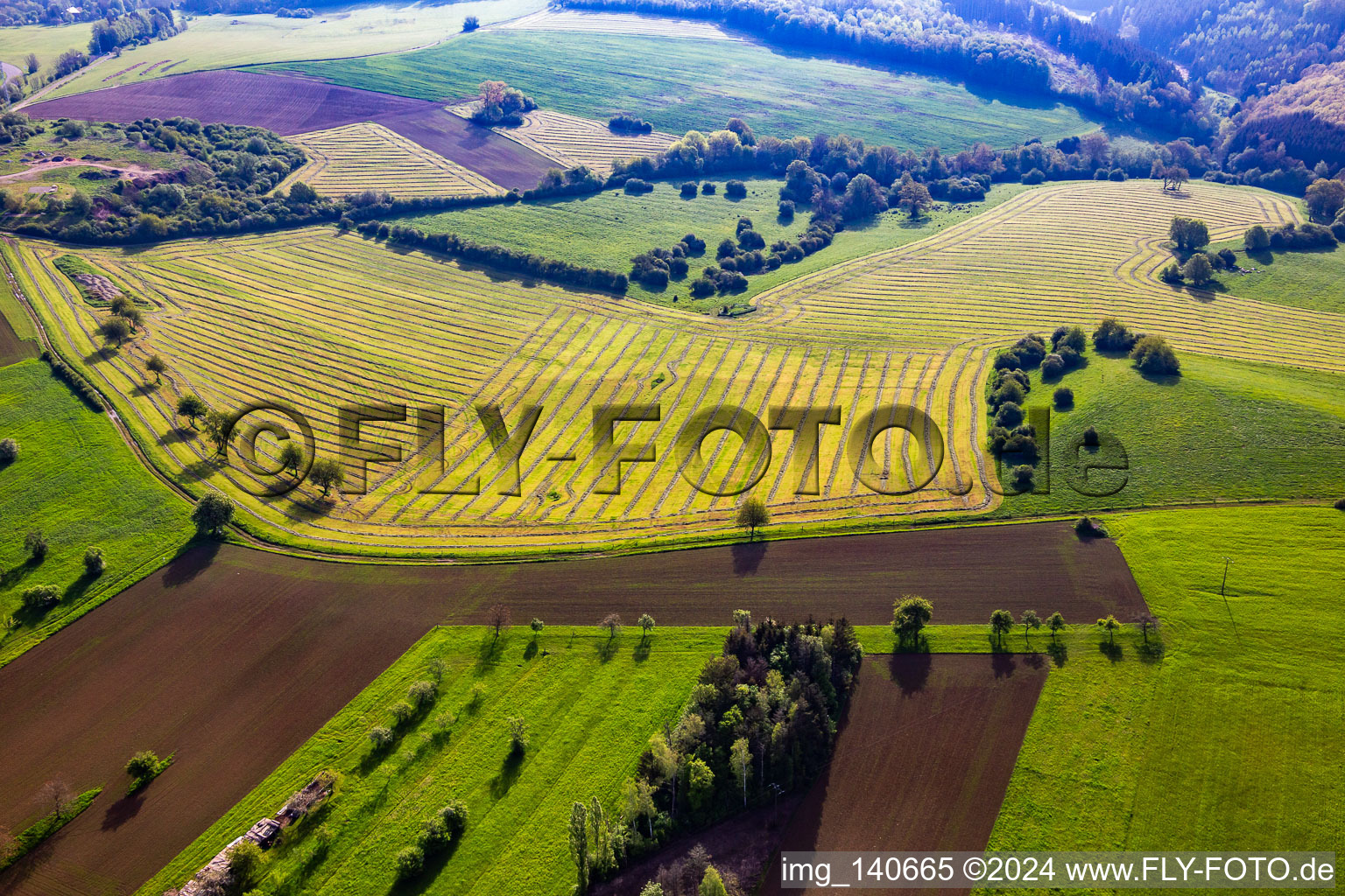 Vue aérienne de Prairies fraîchement tondues avec rangées de foin à Petit-Réderching dans le département Moselle, France