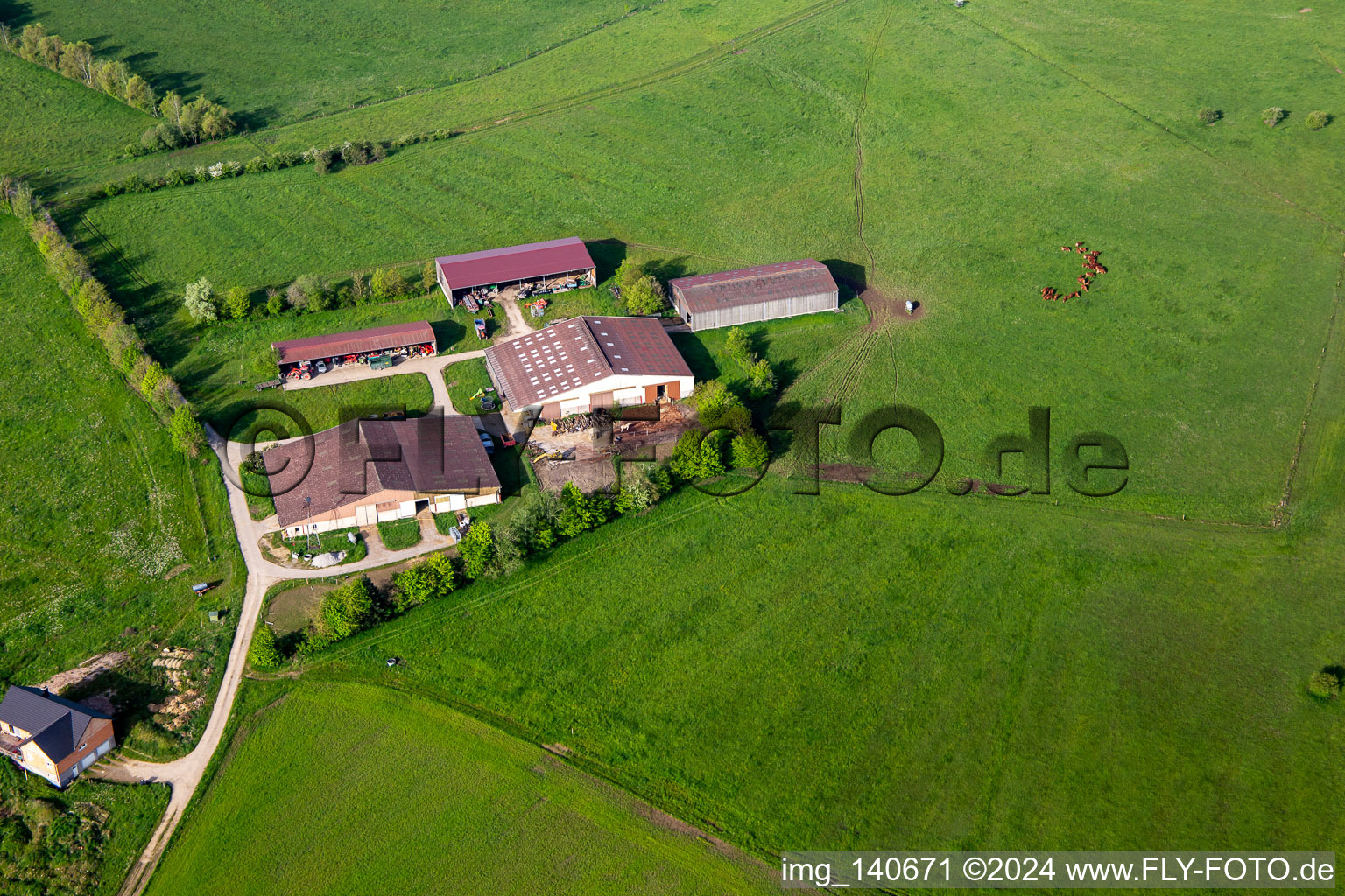 Vue aérienne de Ferme MOUNTAIN MEADOW à Petit-Réderching dans le département Moselle, France