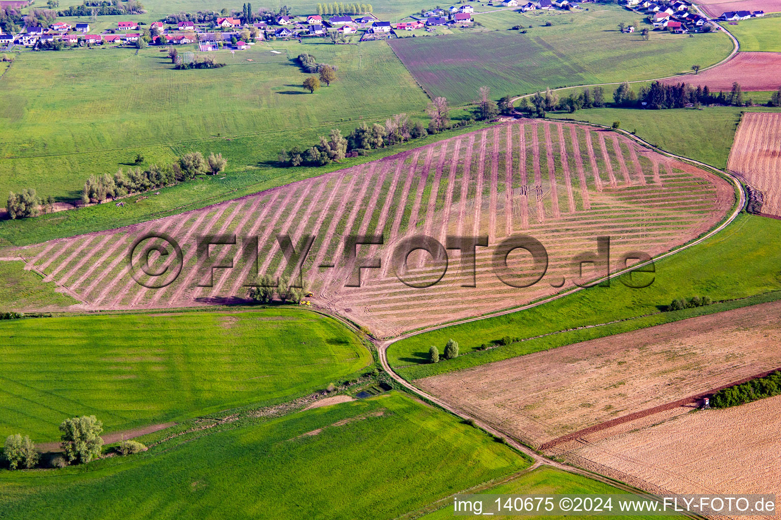Vue aérienne de Modèles de culture sur le terrain à Bettviller dans le département Moselle, France