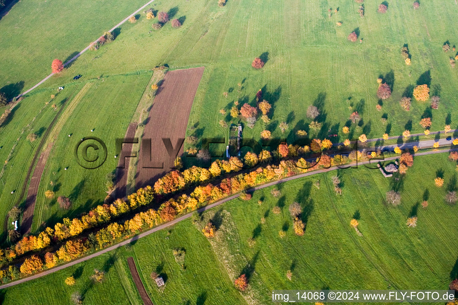 Quartier Schöllbronn in Ettlingen dans le département Bade-Wurtemberg, Allemagne depuis l'avion