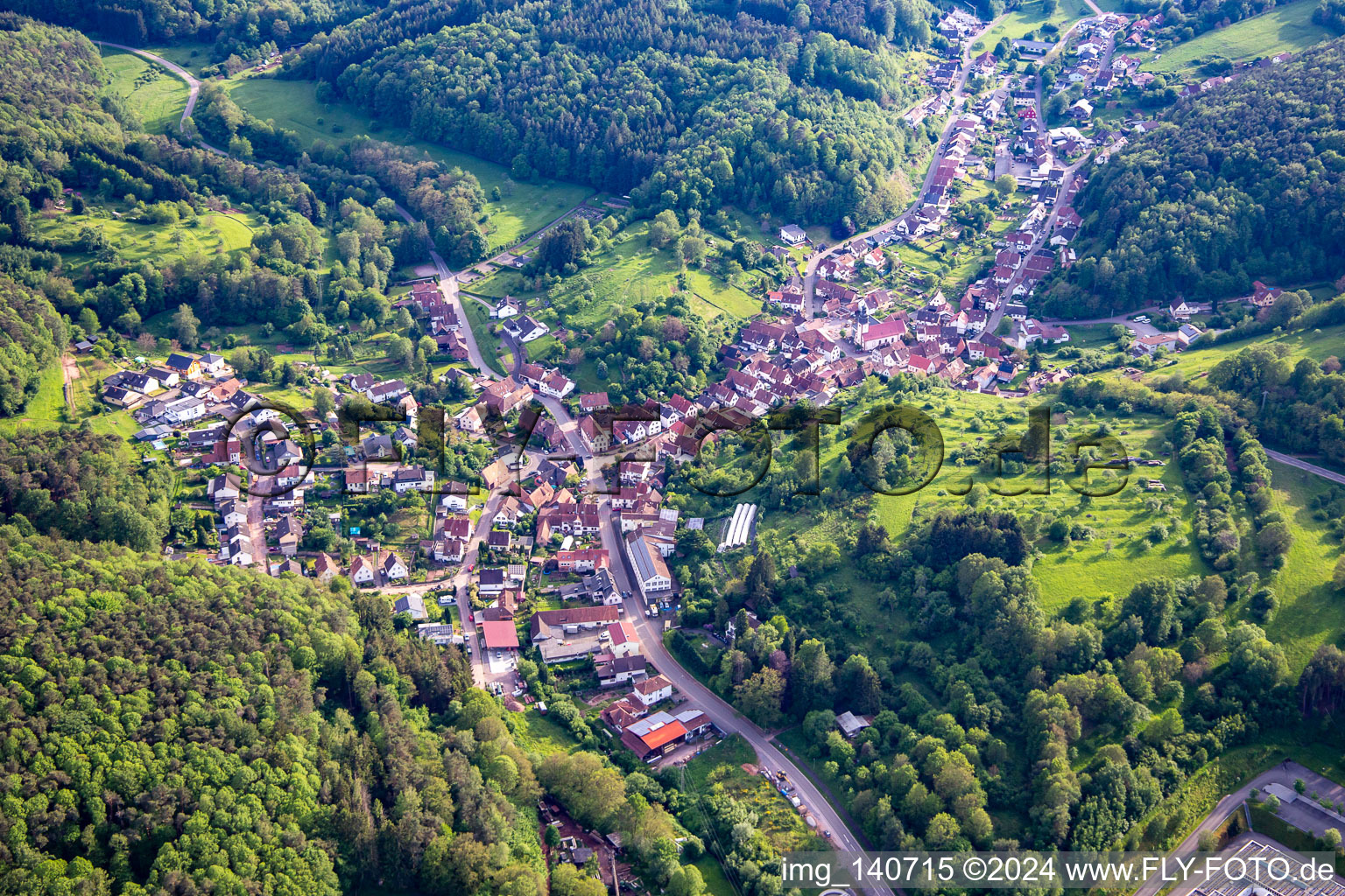 Schwanheim dans le département Rhénanie-Palatinat, Allemagne du point de vue du drone