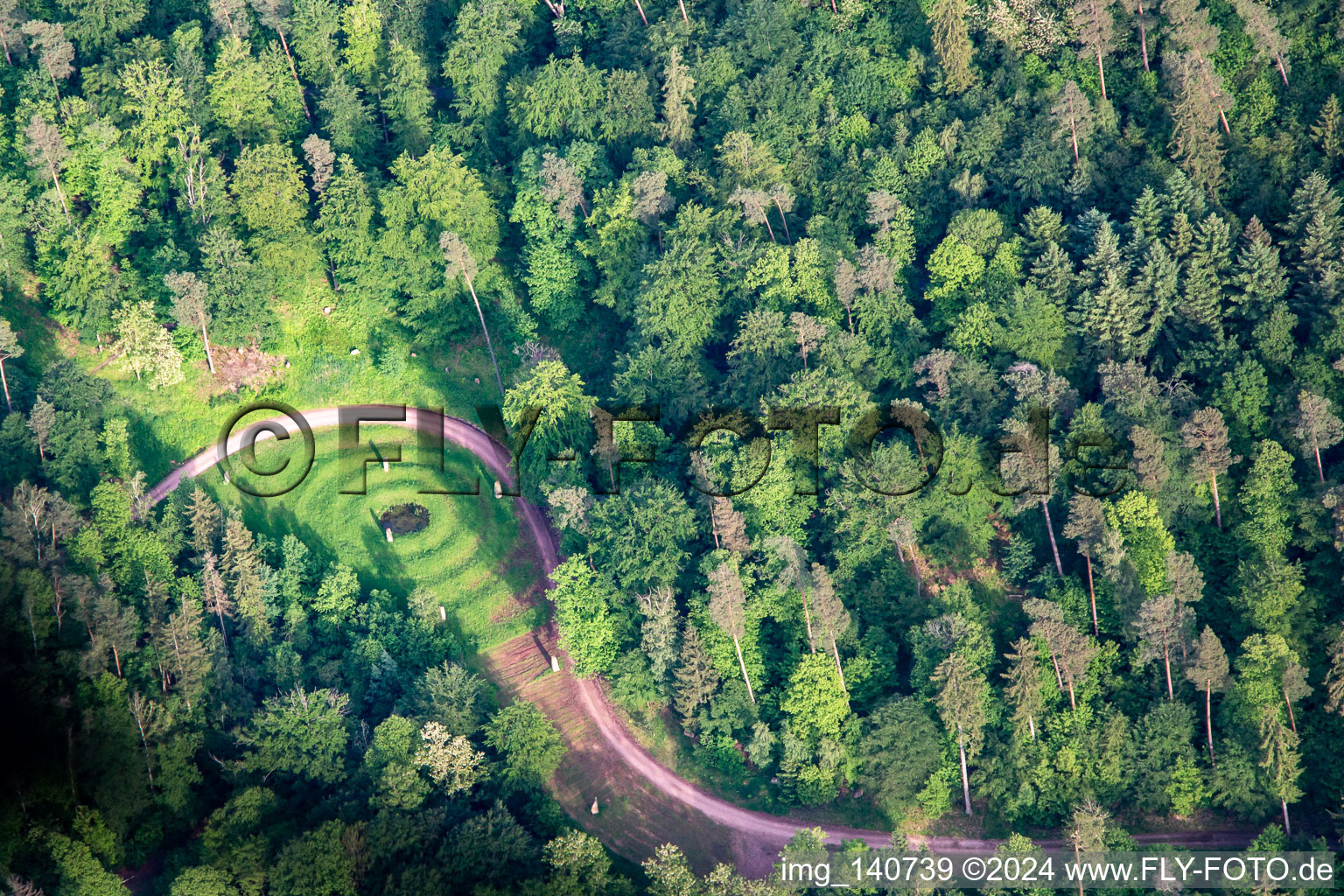 Vue aérienne de Site funéraire naturel de Trifelsruhe à Wernersberg dans le département Rhénanie-Palatinat, Allemagne