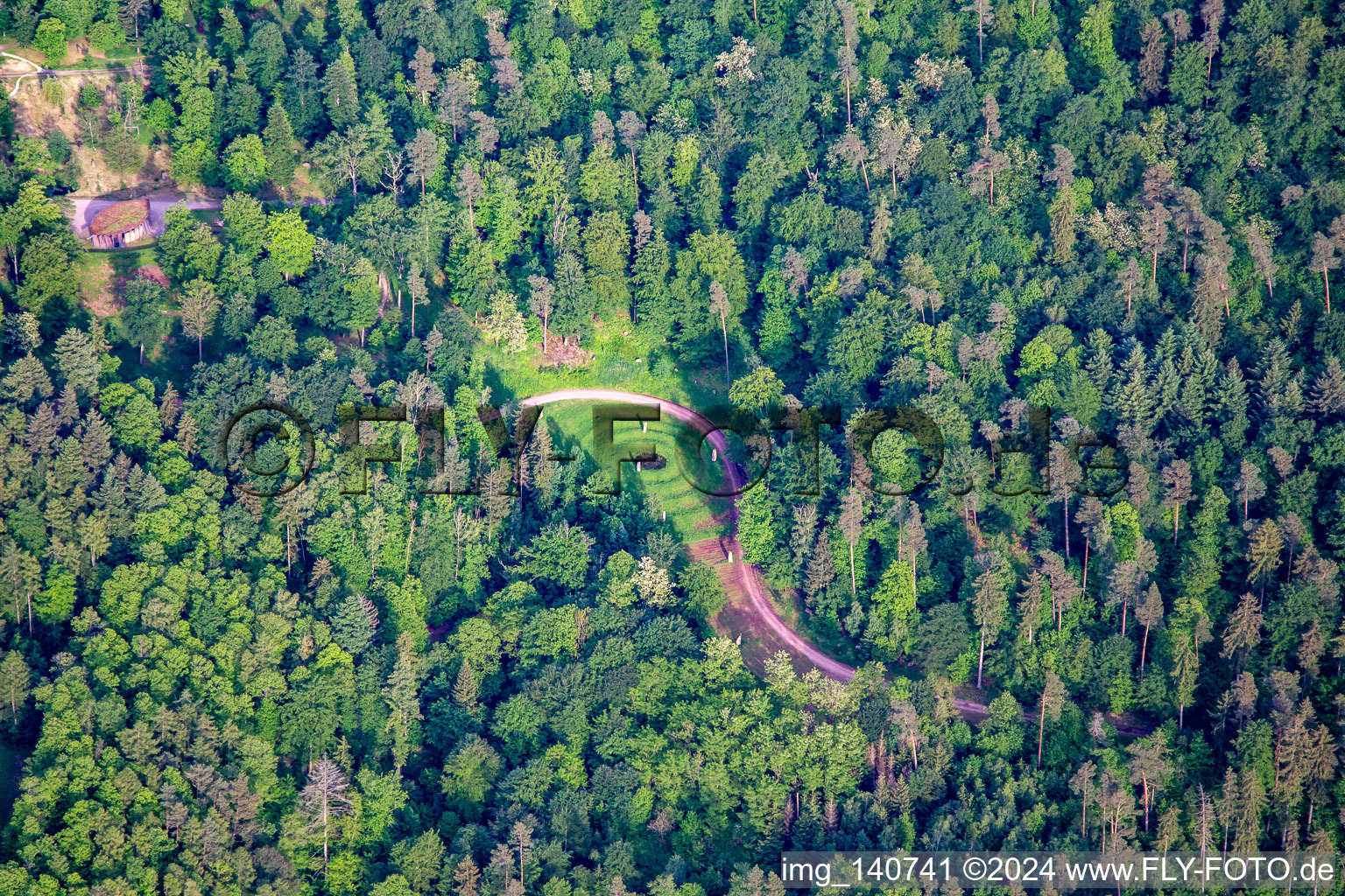 Vue aérienne de Site funéraire naturel de Trifelsruhe à Wernersberg dans le département Rhénanie-Palatinat, Allemagne