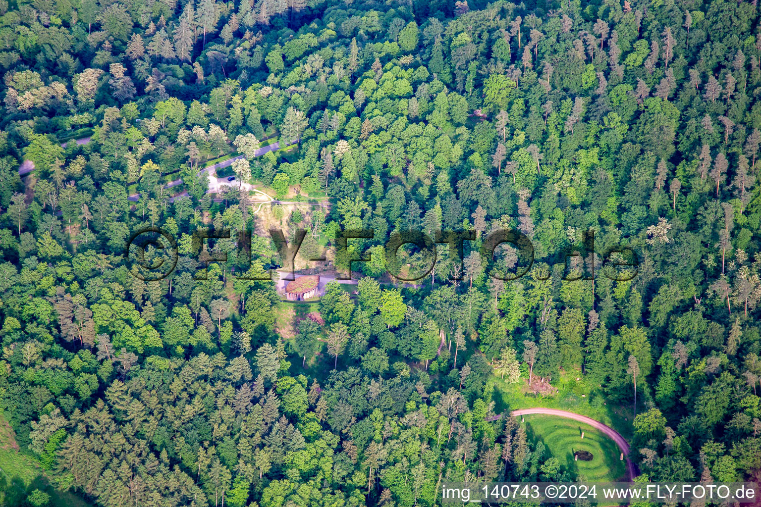 Photographie aérienne de Site funéraire naturel de Trifelsruhe à Wernersberg dans le département Rhénanie-Palatinat, Allemagne