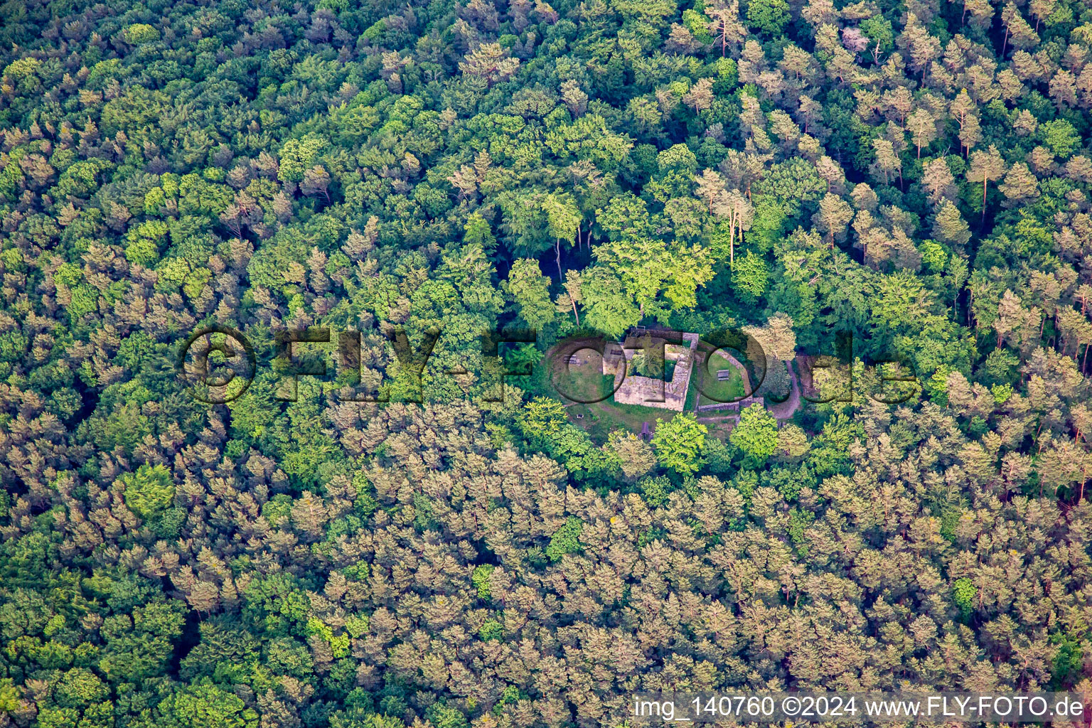 Vue aérienne de Ruines de Waldschlössel à Klingenmünster dans le département Rhénanie-Palatinat, Allemagne