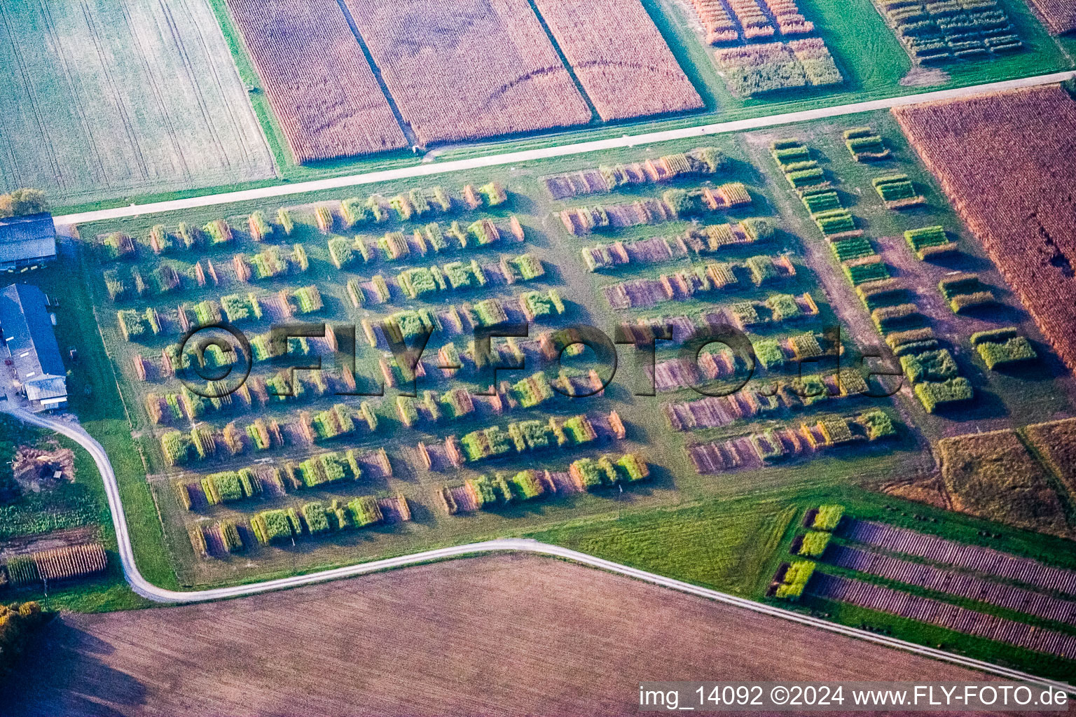 Vue aérienne de Structures sur les champs d'essais agricoles de l'Institut national de la production végétale dans le district de Forchheim à le quartier Silberstreifen in Rheinstetten dans le département Bade-Wurtemberg, Allemagne