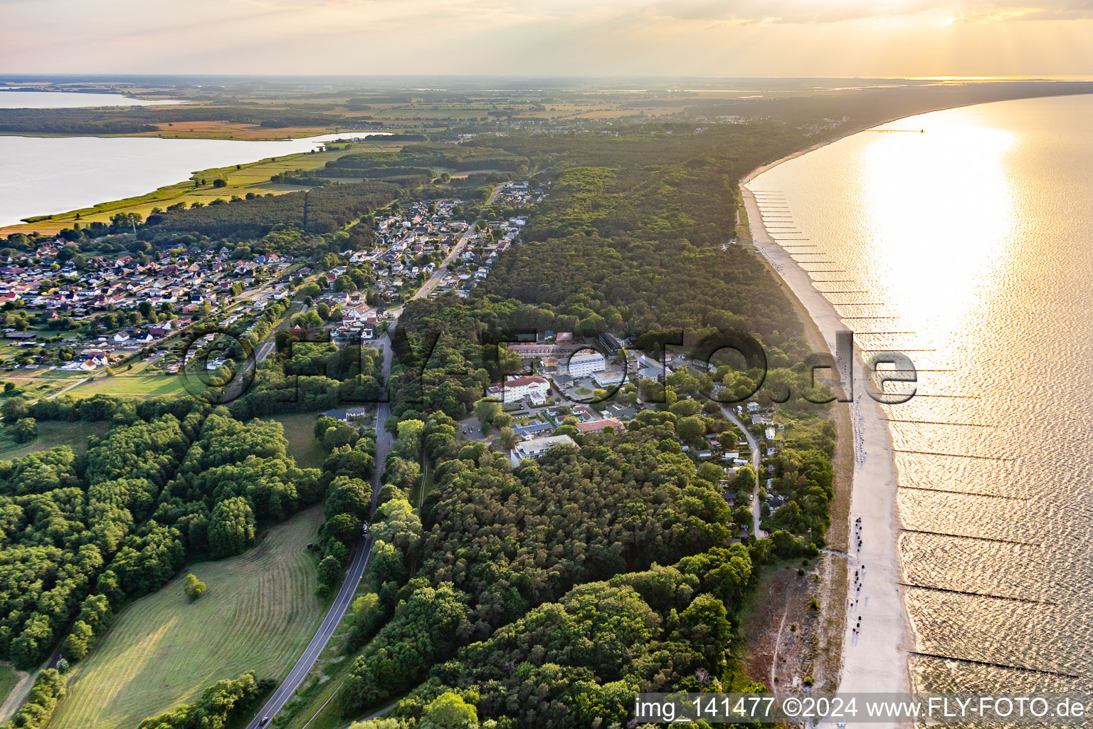 Vue aérienne de Sentier des mouettes du côté de la mer Baltique à Zempin dans le département Mecklembourg-Poméranie occidentale, Allemagne