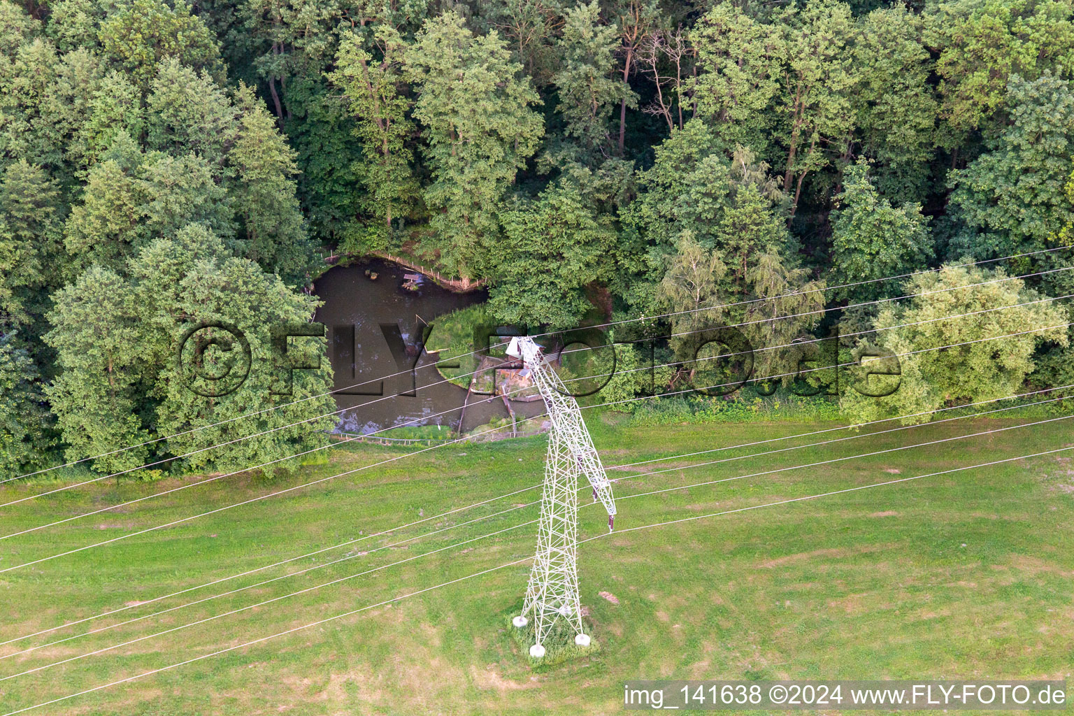 Vue aérienne de Pylône haute tension en lisière de forêt avec étang de pêche à le quartier Burkersdorf in Zittau dans le département Saxe, Allemagne