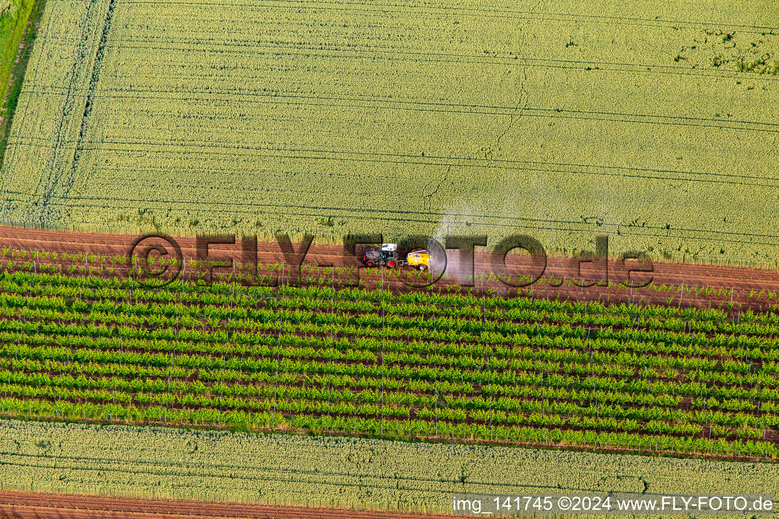 Vue aérienne de Un tracteur pulvérise des pesticides sur les vignes à le quartier Ingenheim in Billigheim-Ingenheim dans le département Rhénanie-Palatinat, Allemagne