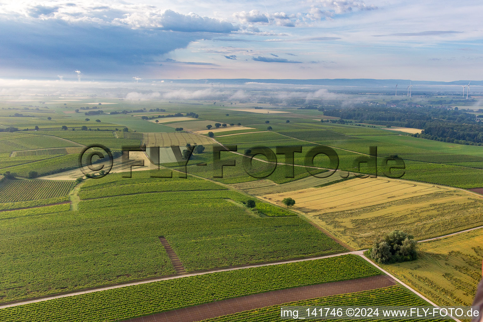 Vue aérienne de Nuages bas au-dessus des champs à cause des vents à le quartier Ingenheim in Billigheim-Ingenheim dans le département Rhénanie-Palatinat, Allemagne