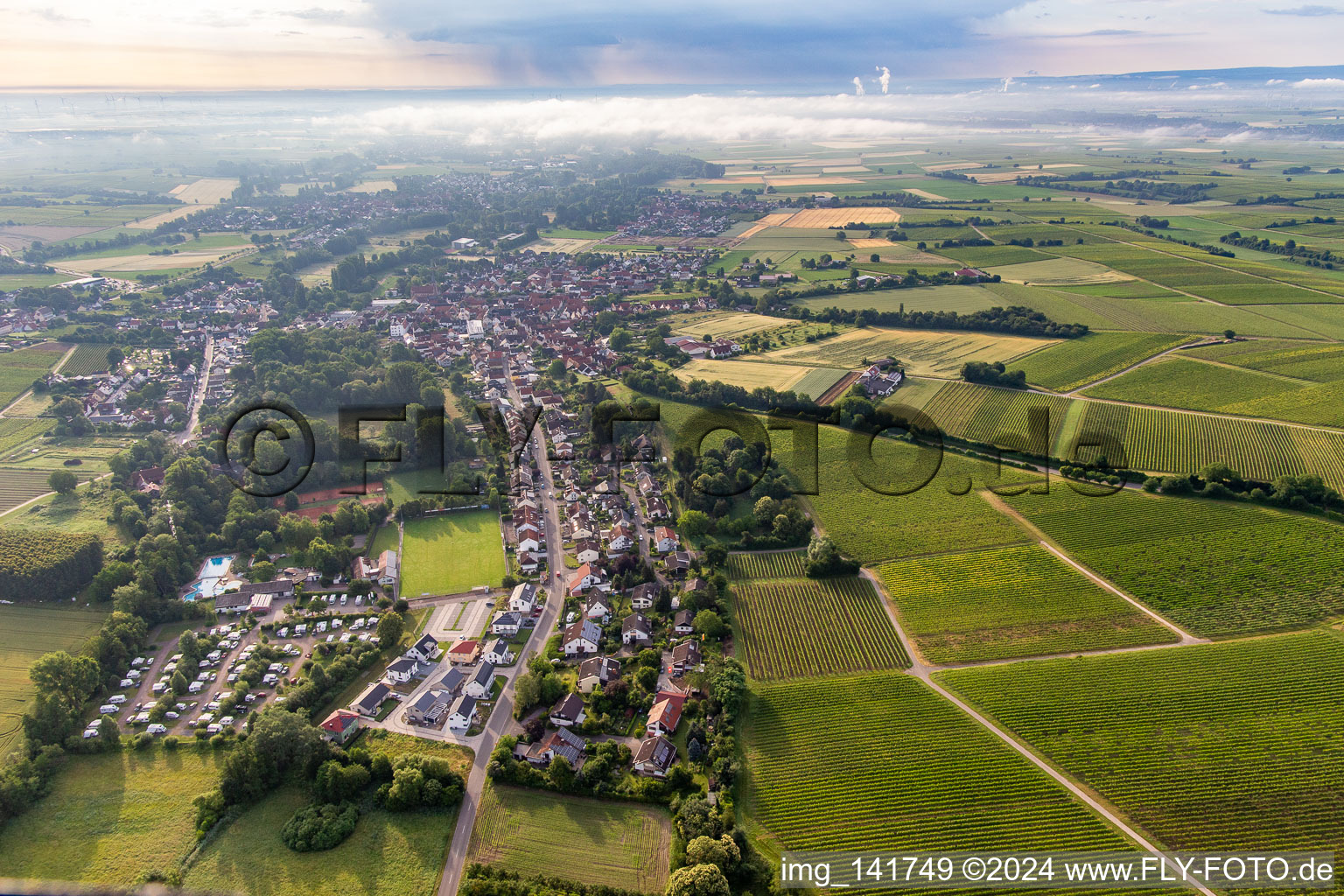 Vue aérienne de Klingener Straße depuis l'ouest à le quartier Ingenheim in Billigheim-Ingenheim dans le département Rhénanie-Palatinat, Allemagne