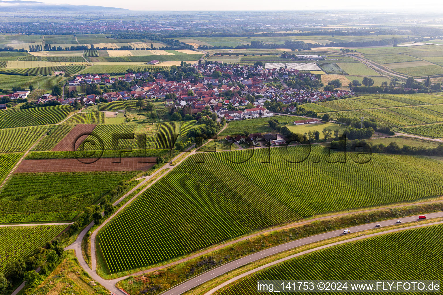 Vue aérienne de Du sud à Impflingen dans le département Rhénanie-Palatinat, Allemagne