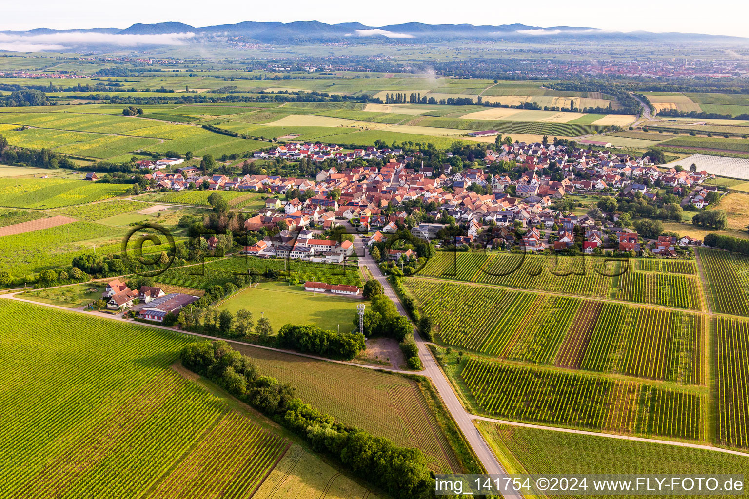 Vue aérienne de Du sud-est à Impflingen dans le département Rhénanie-Palatinat, Allemagne