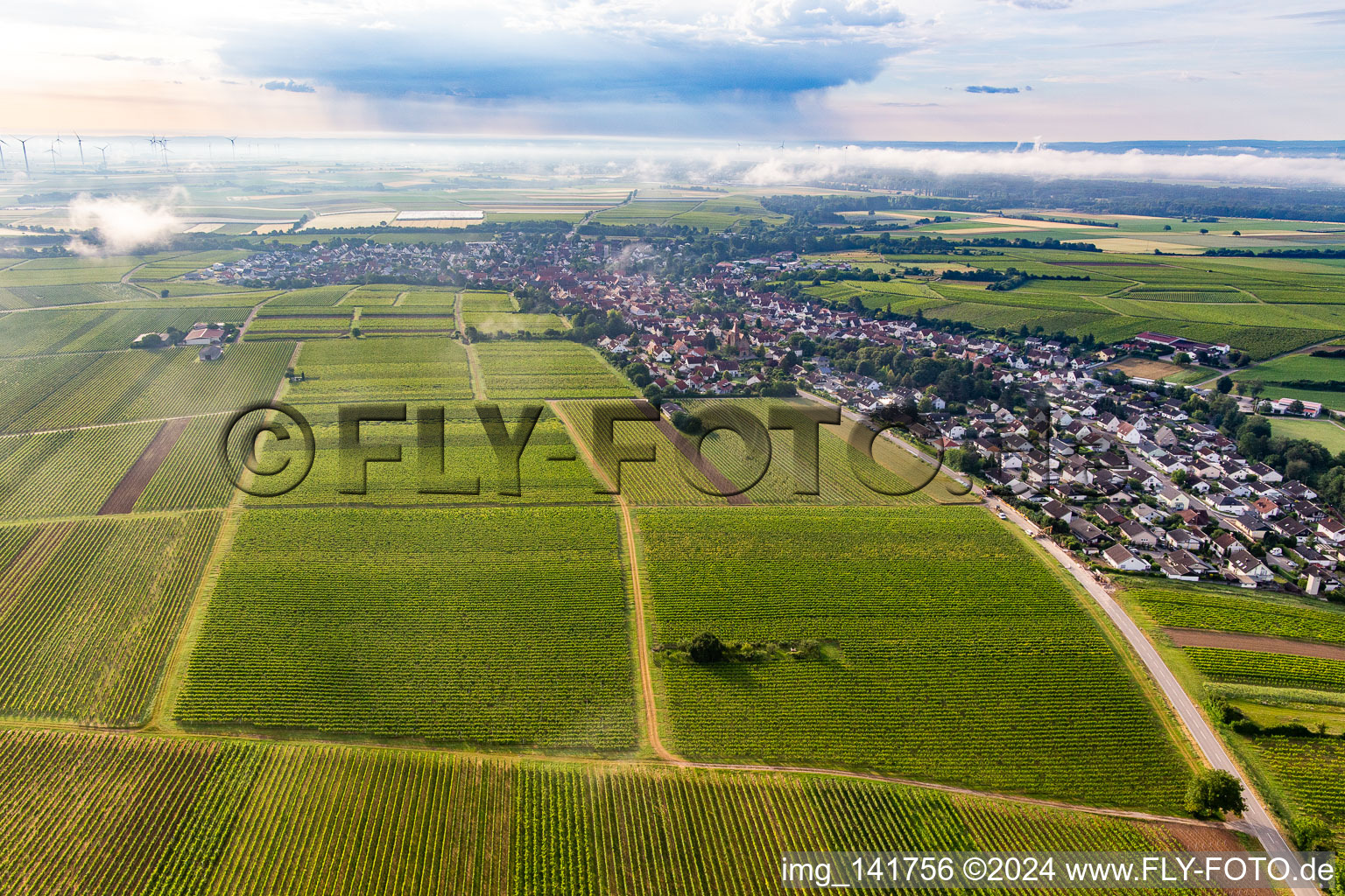 Photographie aérienne de Du nord-ouest à Insheim dans le département Rhénanie-Palatinat, Allemagne