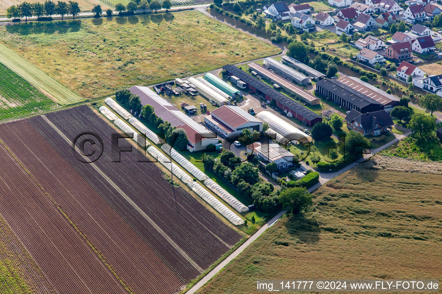 Vue aérienne de Appartement de vacances Markus Fischer à Hördt dans le département Rhénanie-Palatinat, Allemagne