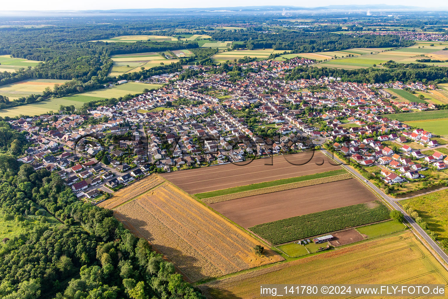 Vue aérienne de Du nord à Hördt dans le département Rhénanie-Palatinat, Allemagne