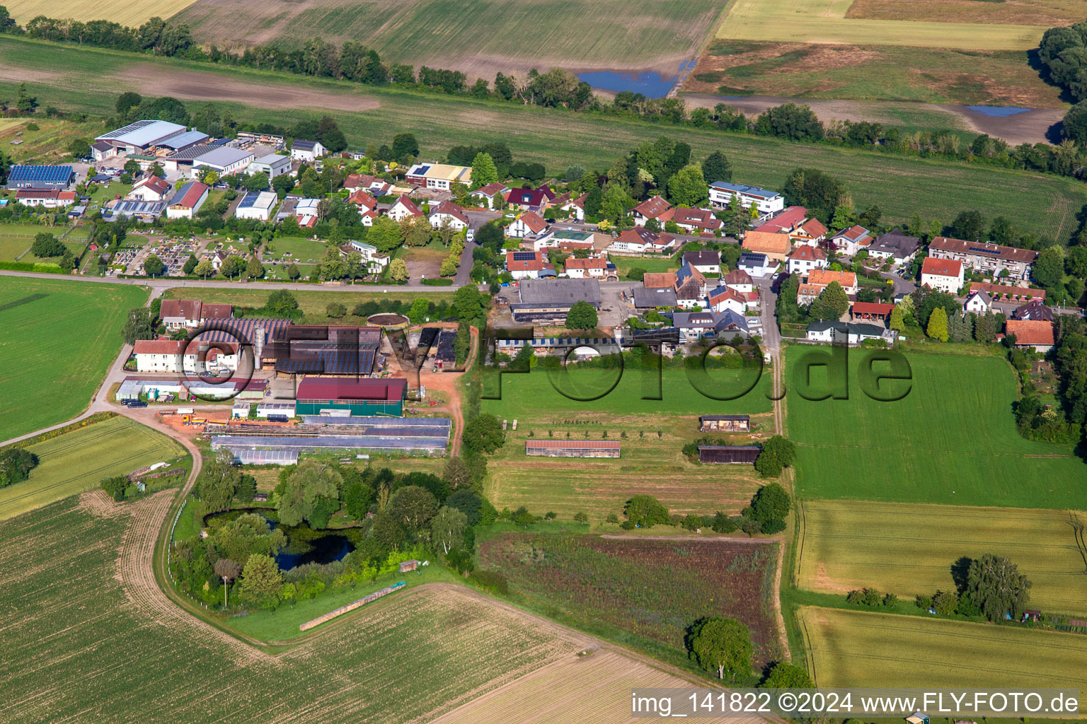 Vue aérienne de Friedhofstr. à Neupotz dans le département Rhénanie-Palatinat, Allemagne