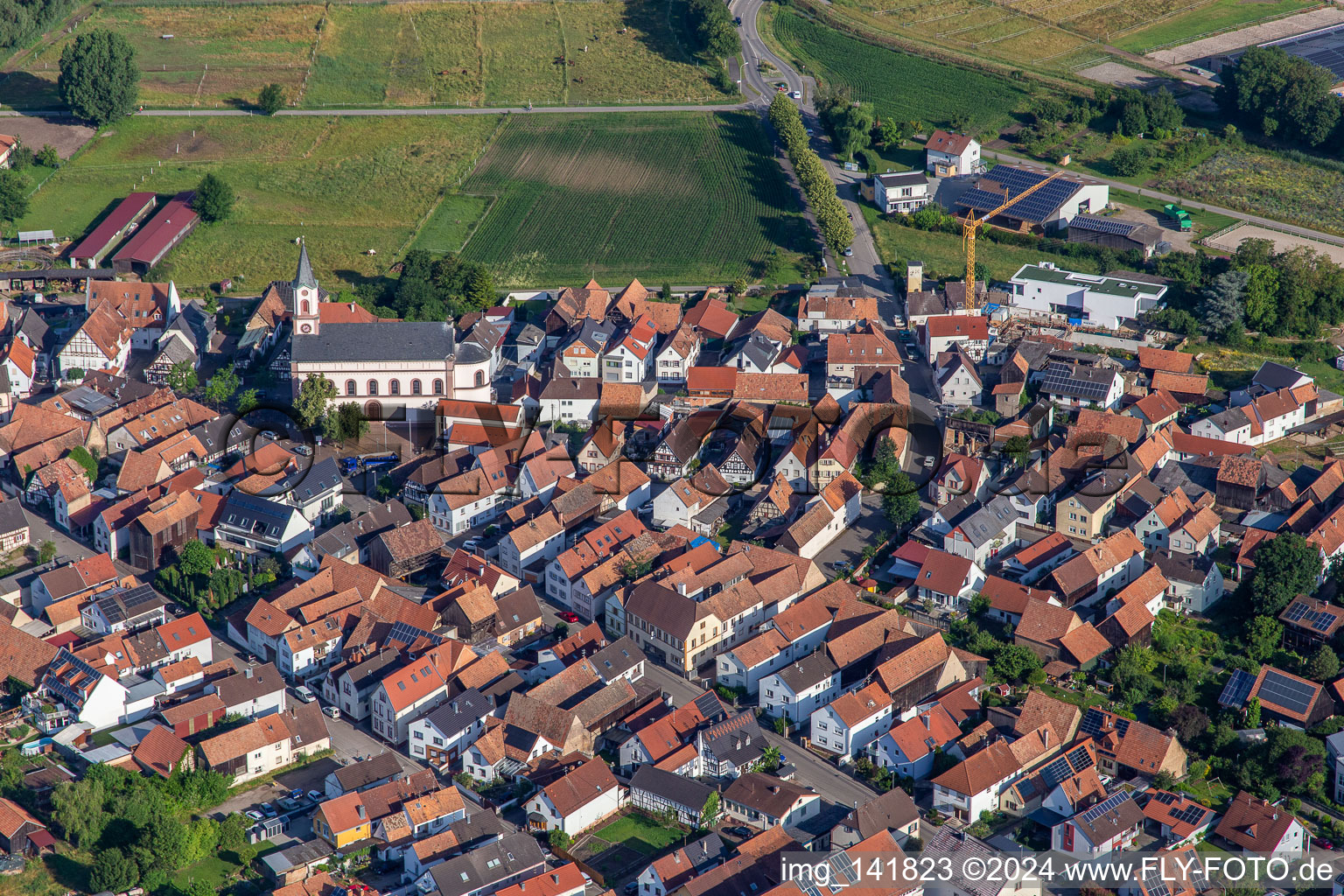 Vue aérienne de Main et Hinterstr à Neupotz dans le département Rhénanie-Palatinat, Allemagne