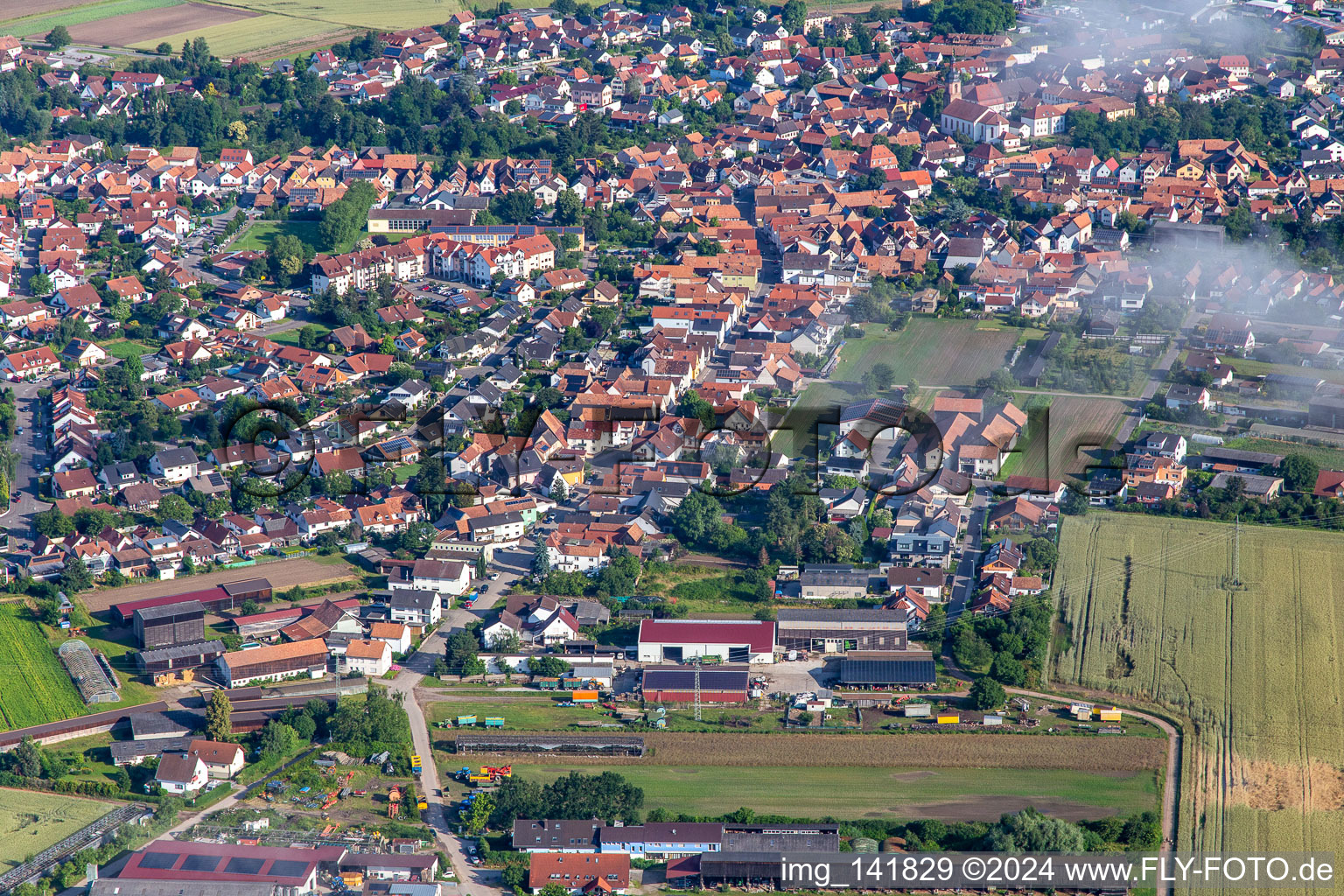 Vue aérienne de Du sud à Rheinzabern dans le département Rhénanie-Palatinat, Allemagne