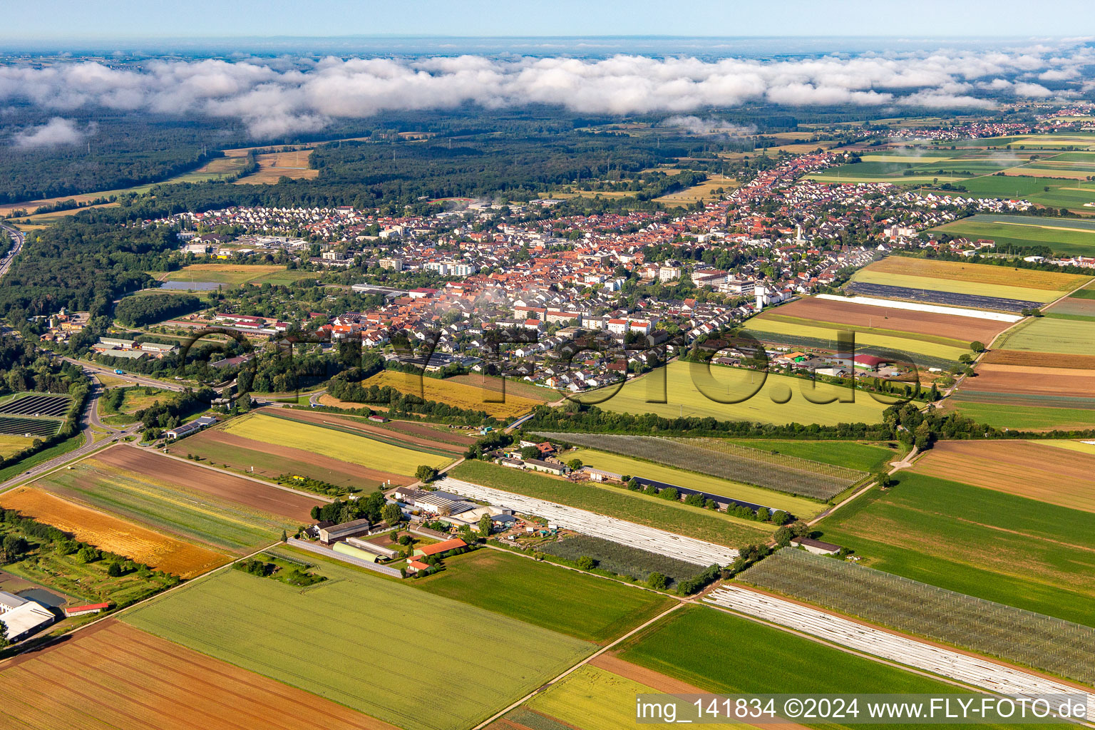 Vue aérienne de Du nord-est à Kandel dans le département Rhénanie-Palatinat, Allemagne