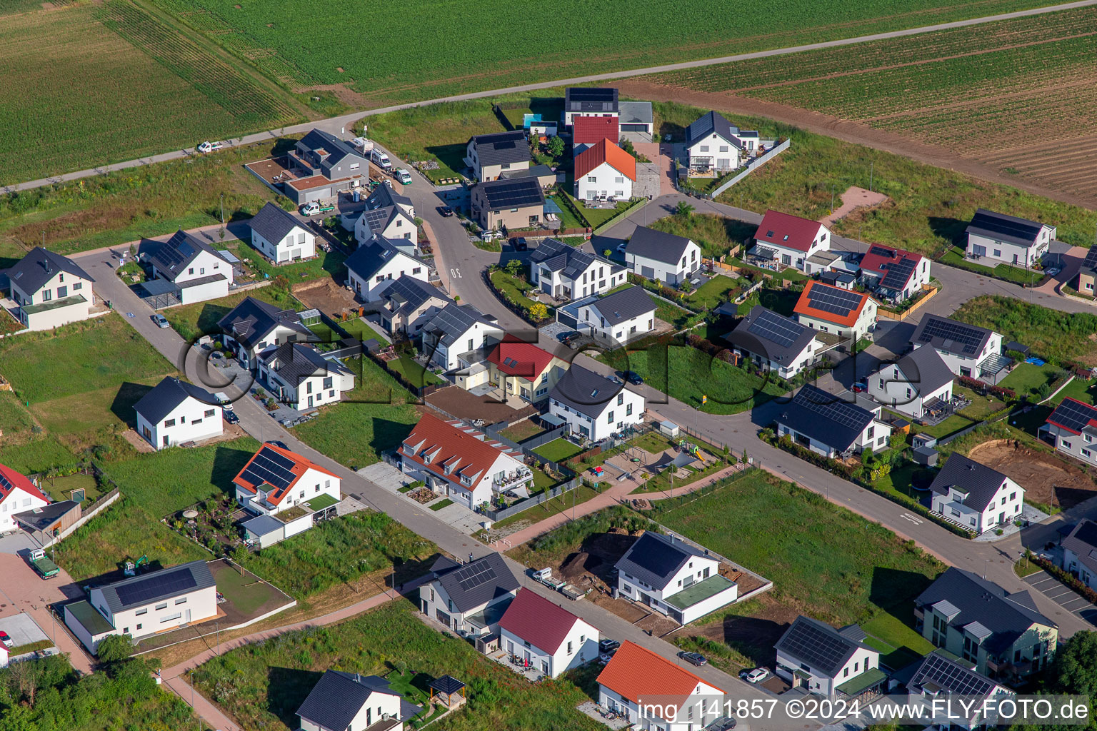 Vue aérienne de Chemin violet à Kandel dans le département Rhénanie-Palatinat, Allemagne