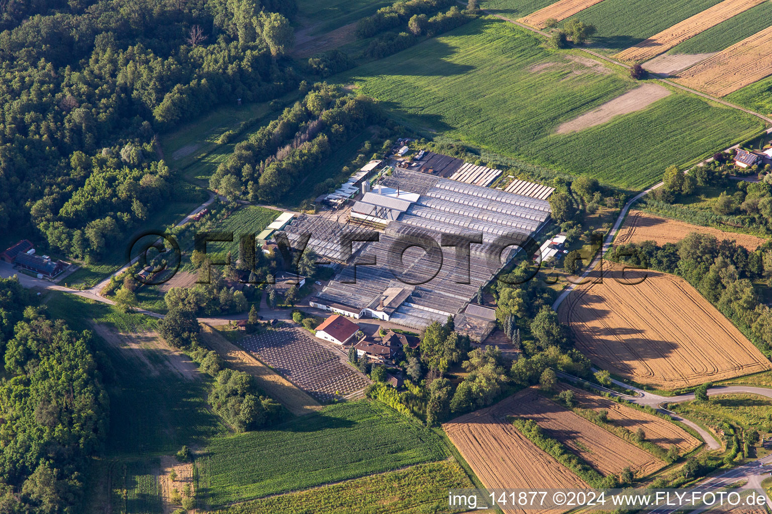 Vue aérienne de Ancien élevage de géraniums à Hagenbach dans le département Rhénanie-Palatinat, Allemagne