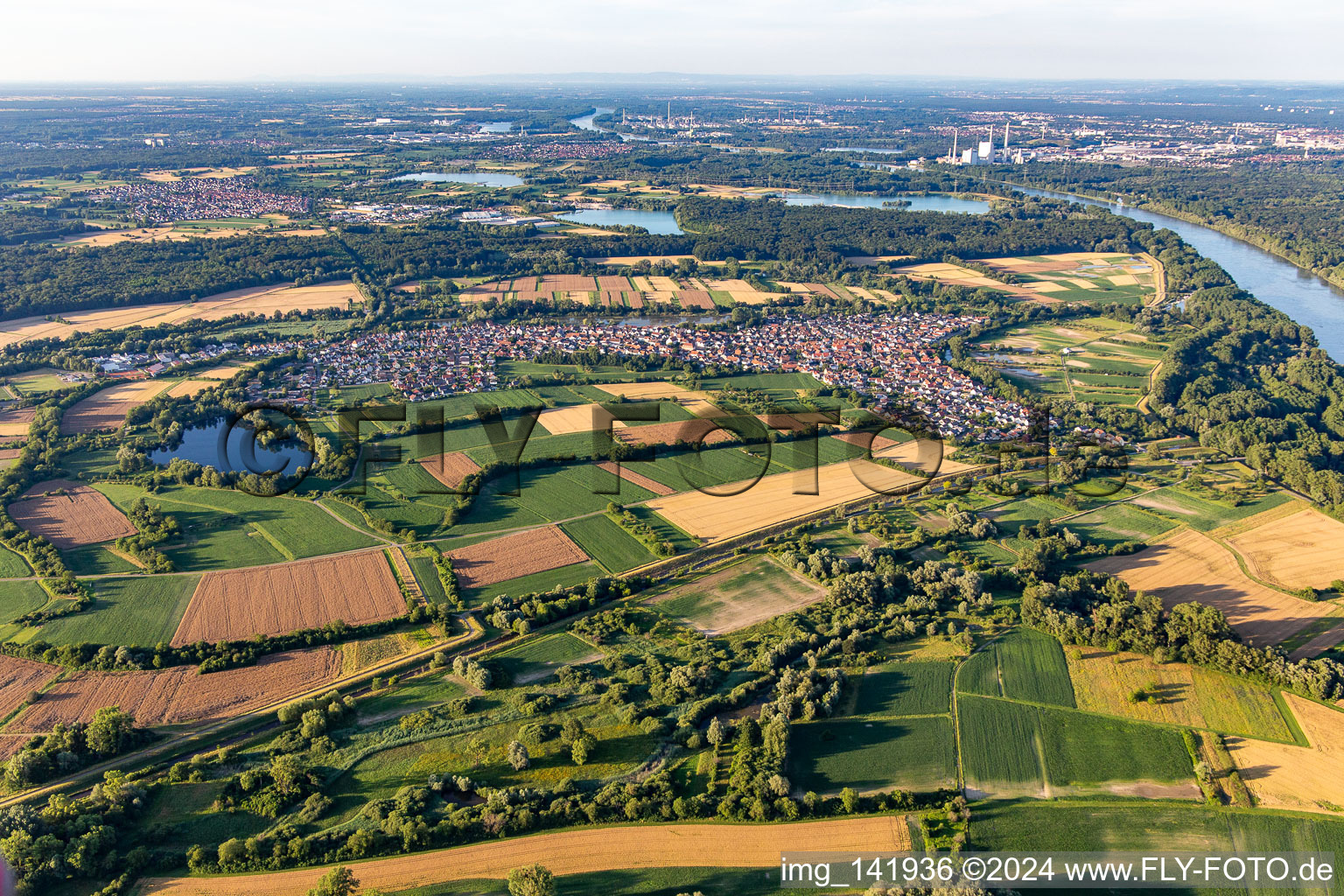 Vue aérienne de Du sud à le quartier Neuburg in Neuburg am Rhein dans le département Rhénanie-Palatinat, Allemagne