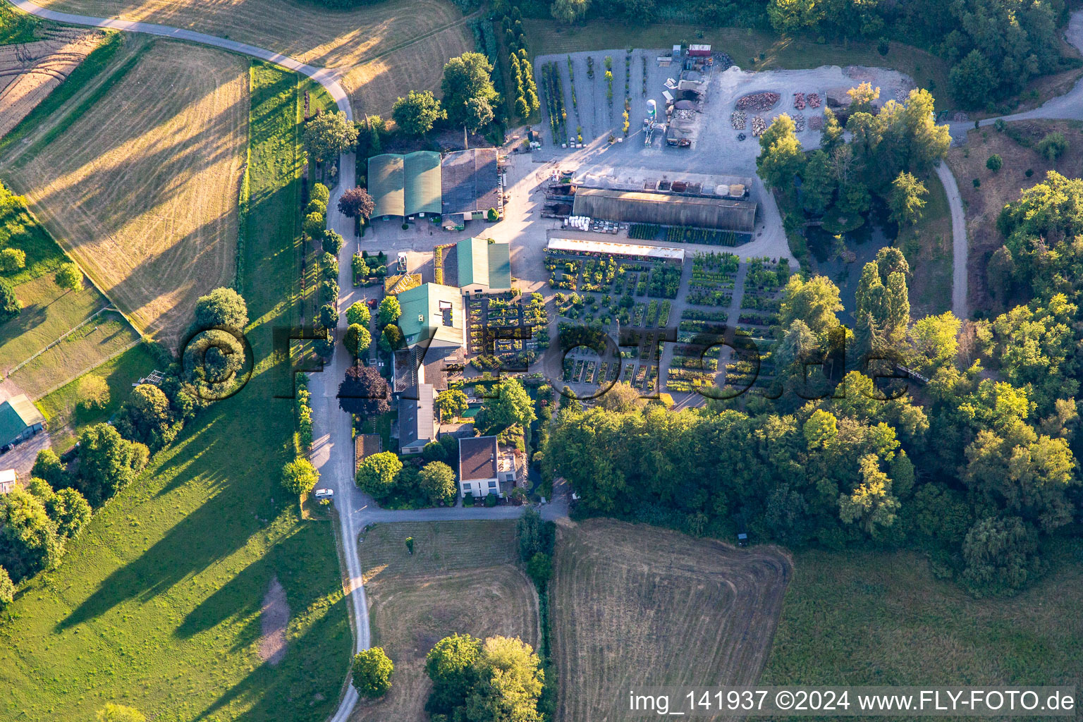 Vue aérienne de Pépinière Bienwald Konrad à Berg dans le département Rhénanie-Palatinat, Allemagne