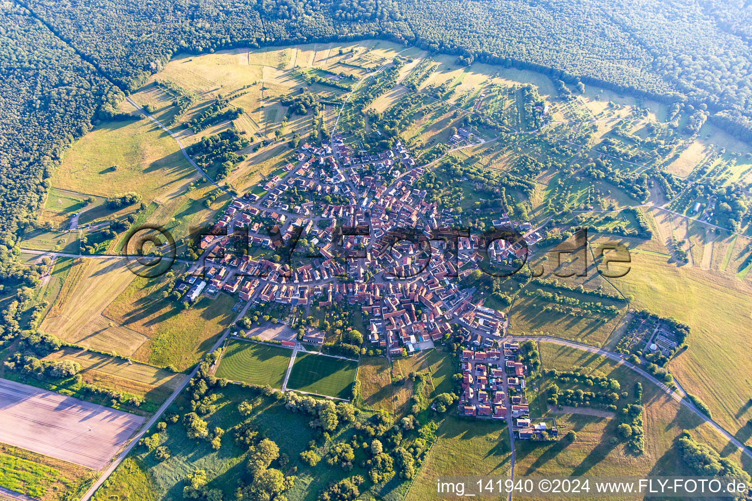 Vue aérienne de En été à le quartier Büchelberg in Wörth am Rhein dans le département Rhénanie-Palatinat, Allemagne