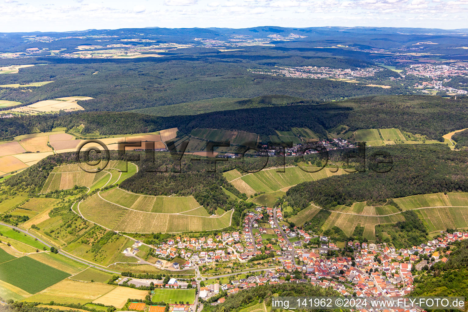 Vue aérienne de Vignobles à Ramsthal dans le département Bavière, Allemagne