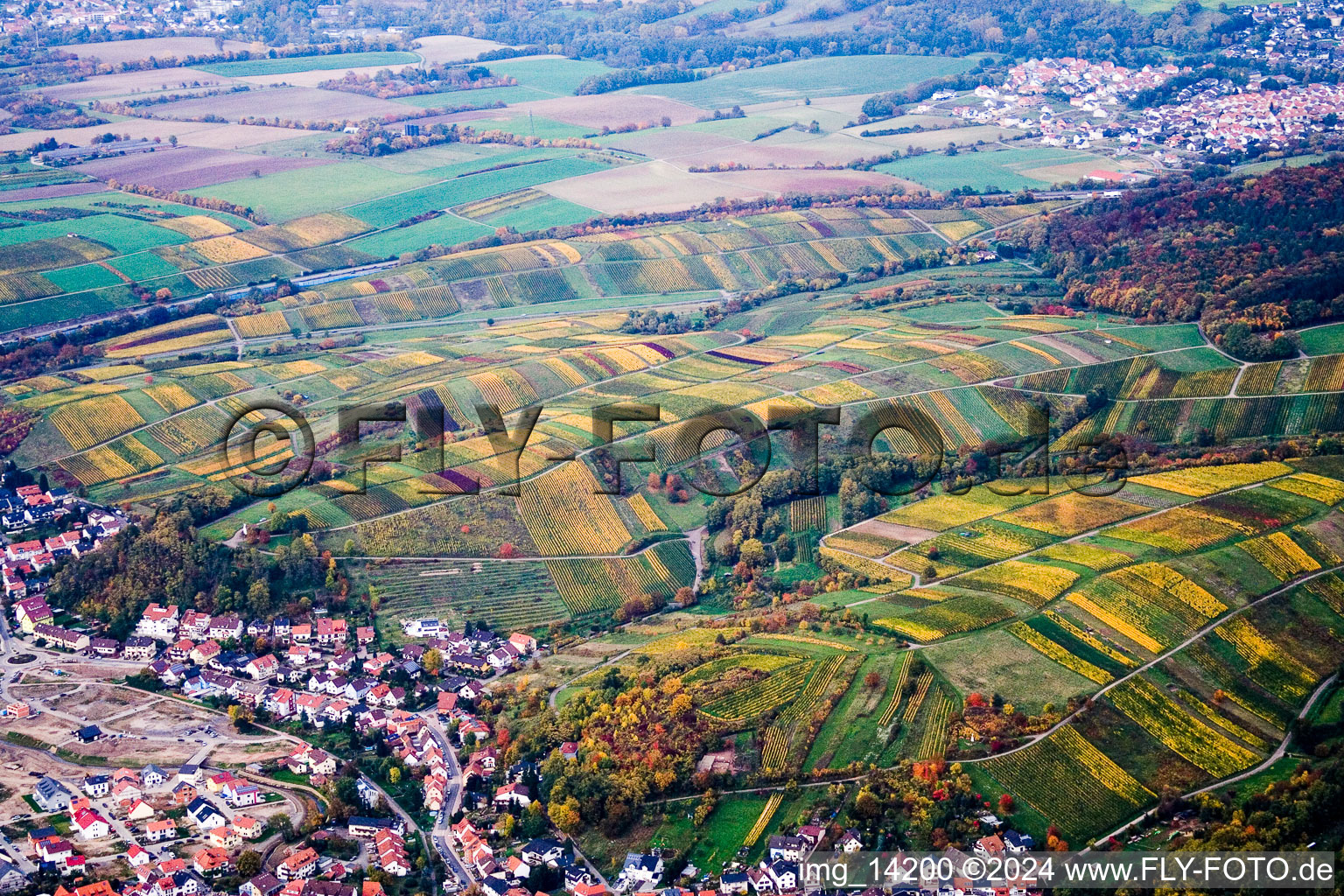 Vue aérienne de Vignobles vers Wiesloch à Rauenberg dans le département Bade-Wurtemberg, Allemagne