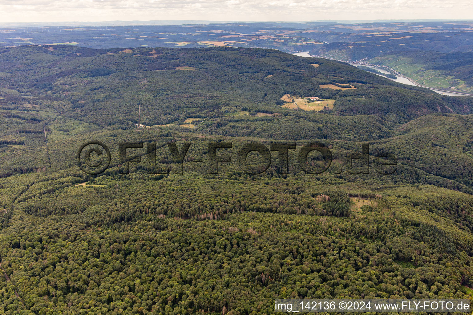 Vue aérienne de Weiler bei Bingen dans le département Rhénanie-Palatinat, Allemagne