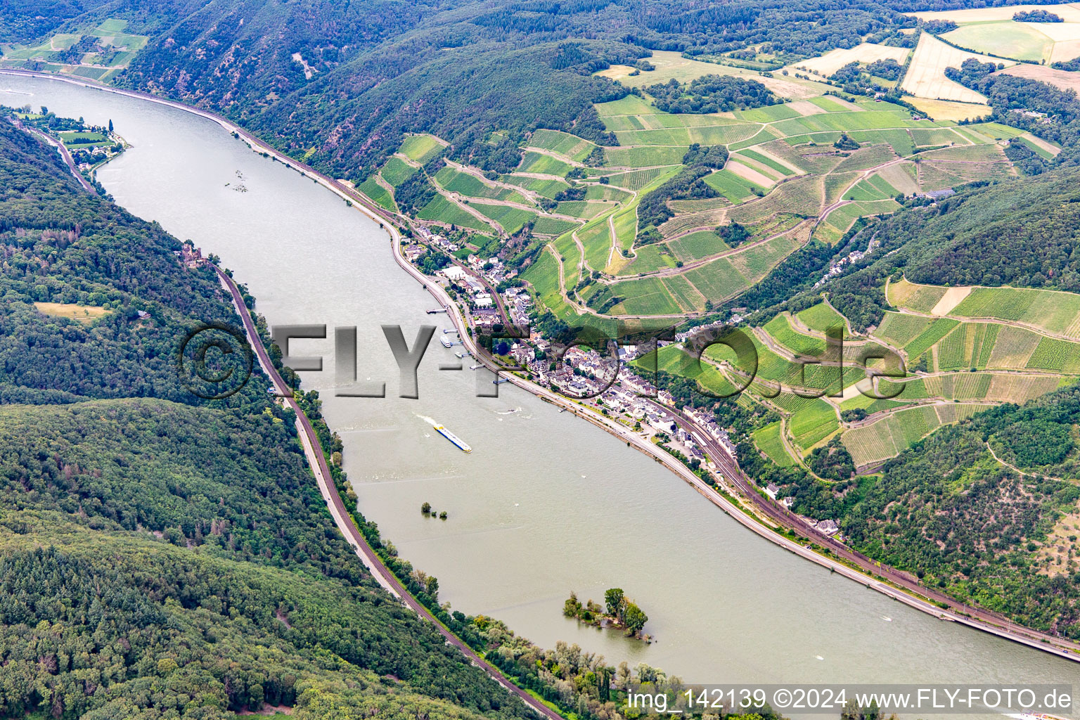 Vue aérienne de Quartier Assmannshausen in Rüdesheim am Rhein dans le département Hesse, Allemagne