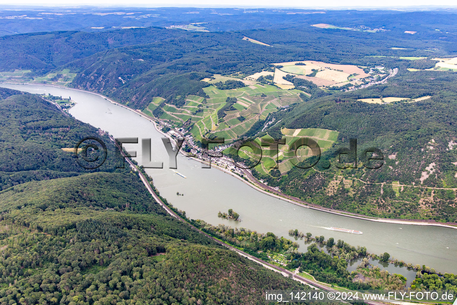 Vue aérienne de Quartier Assmannshausen in Rüdesheim am Rhein dans le département Hesse, Allemagne