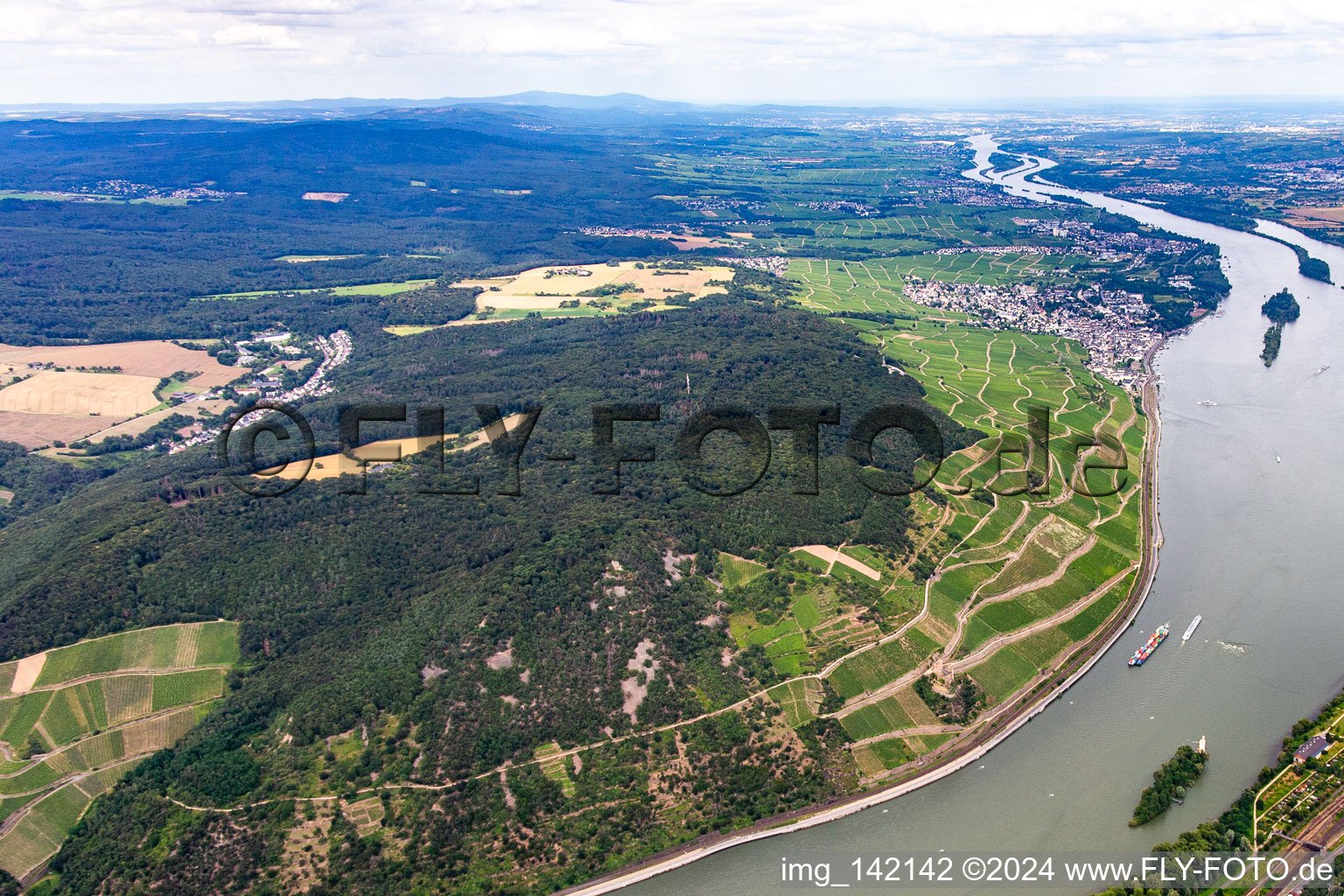 Vue aérienne de Rüdesheim am Rhein dans le département Hesse, Allemagne