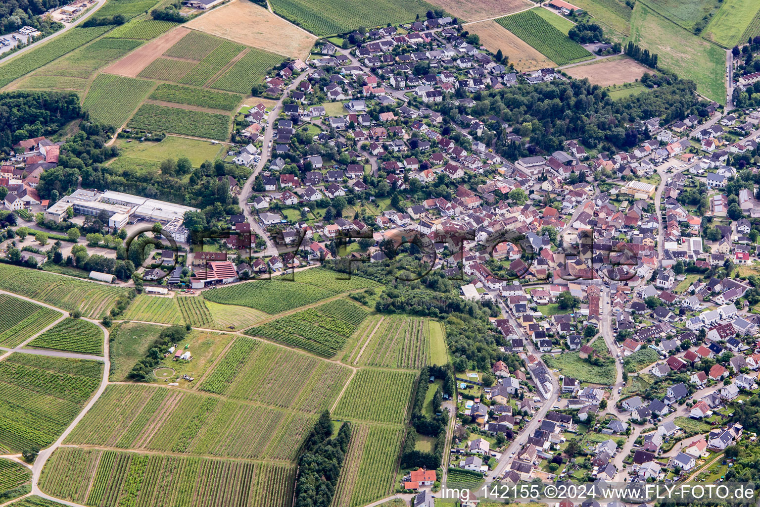 Vue aérienne de Quartier Burg Layen in Rümmelsheim dans le département Rhénanie-Palatinat, Allemagne