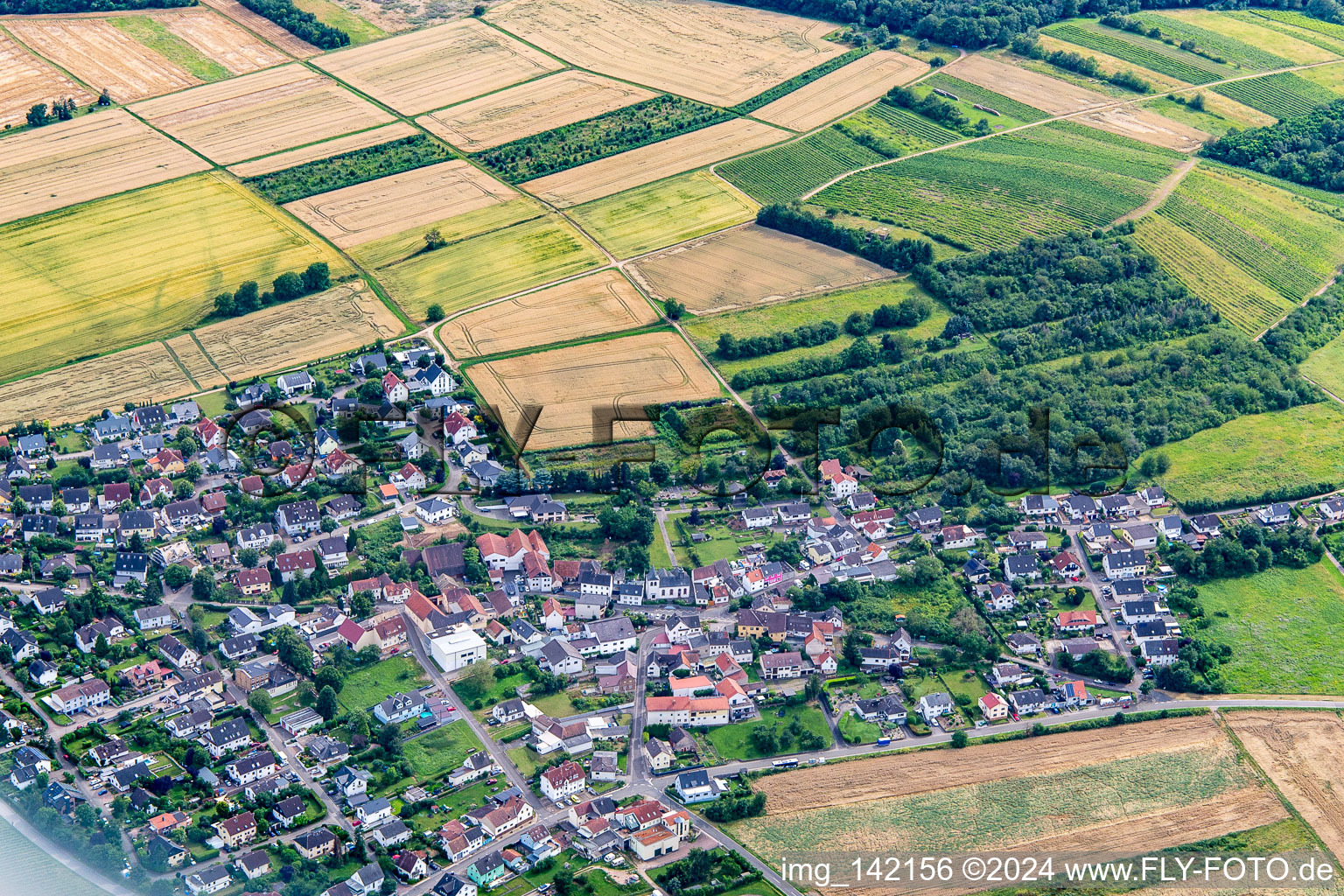 Vue aérienne de Quartier Burg Layen in Dorsheim dans le département Rhénanie-Palatinat, Allemagne