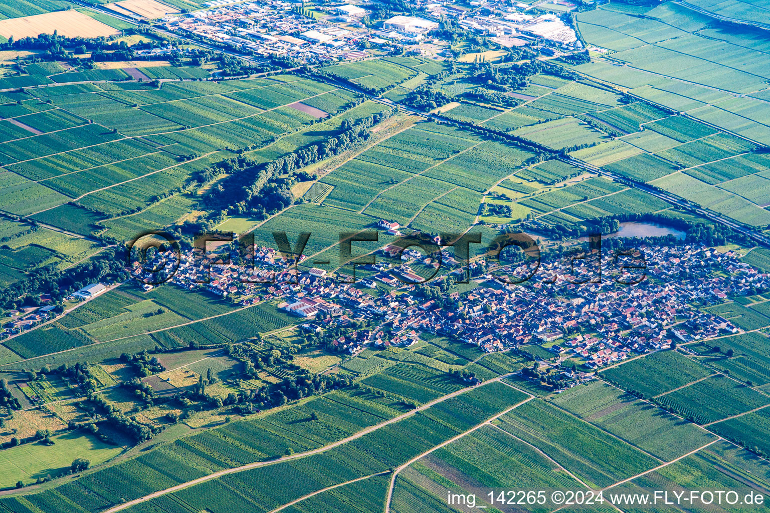 Vue aérienne de Du nord-est à Kirrweiler dans le département Rhénanie-Palatinat, Allemagne