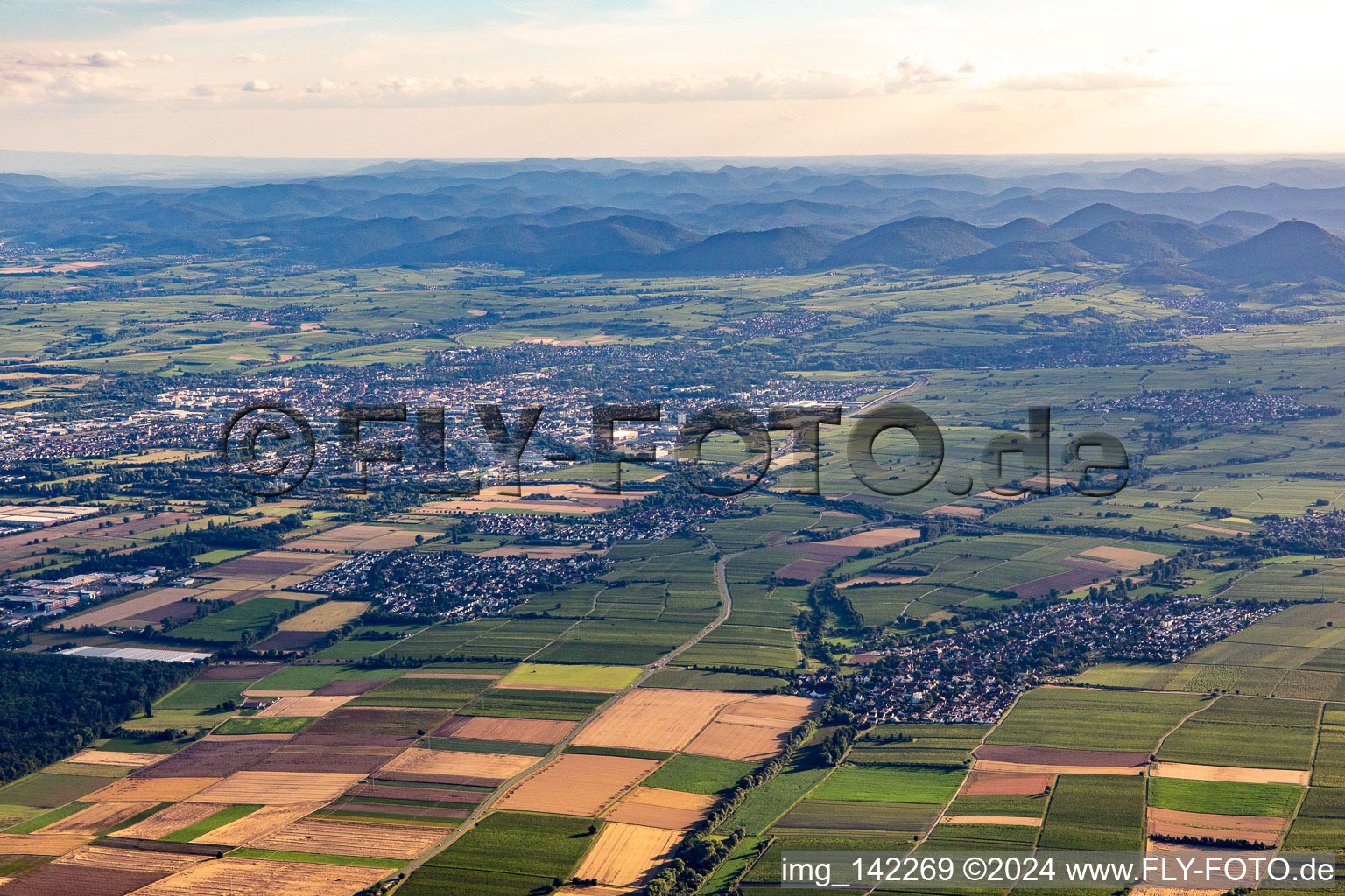 Vue aérienne de Du nord-est à Essingen dans le département Rhénanie-Palatinat, Allemagne