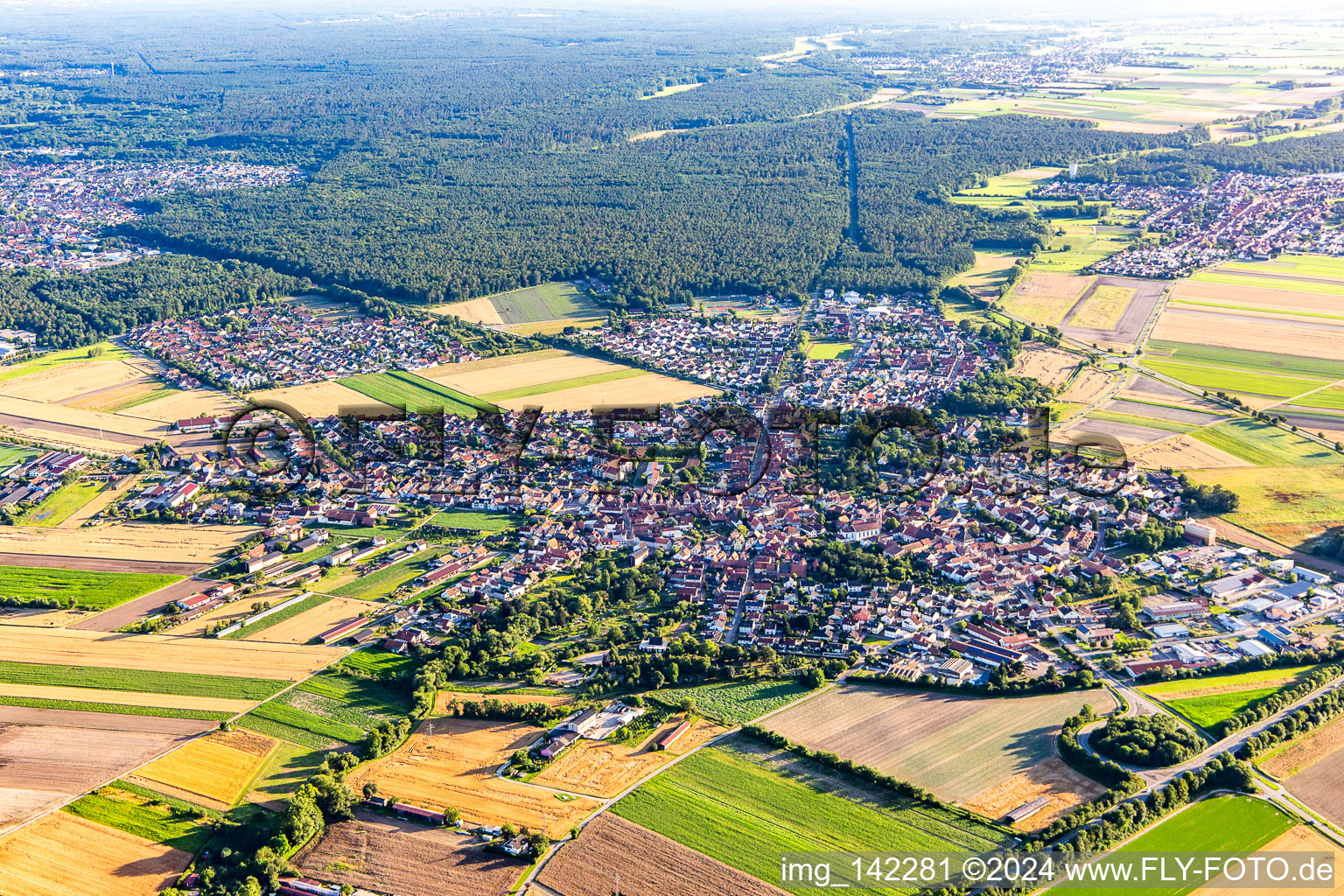 Rheinzabern dans le département Rhénanie-Palatinat, Allemagne du point de vue du drone