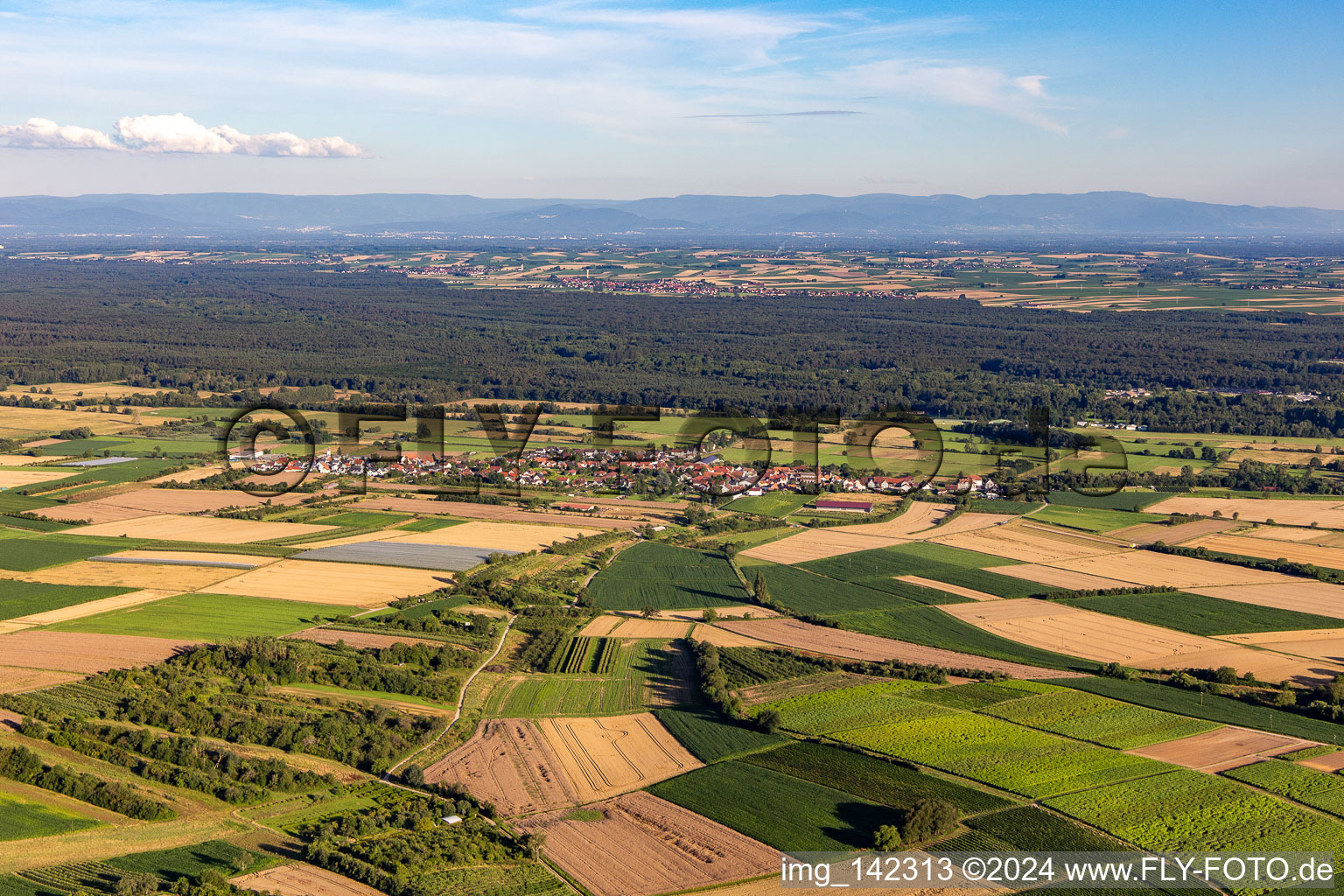 Vue aérienne de Du nord à Schweighofen dans le département Rhénanie-Palatinat, Allemagne