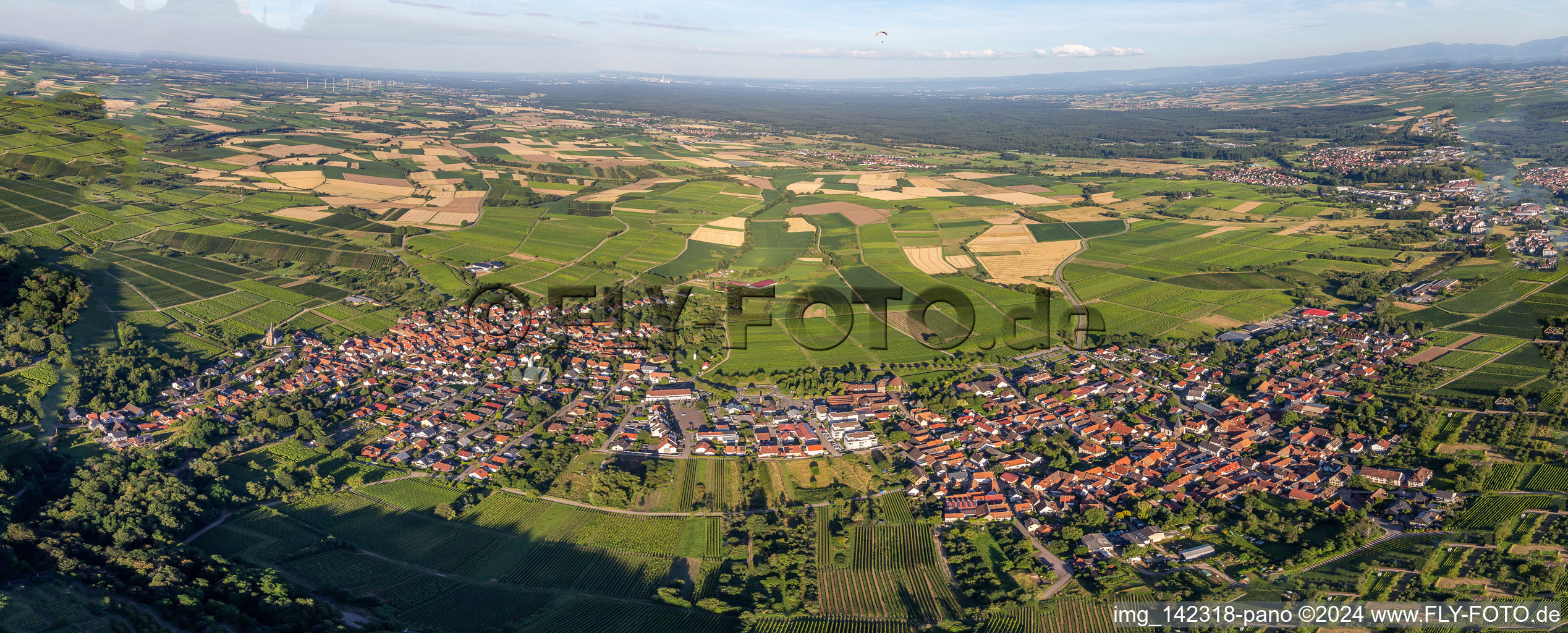 Vue aérienne de Quartier Schweigen in Schweigen-Rechtenbach dans le département Rhénanie-Palatinat, Allemagne