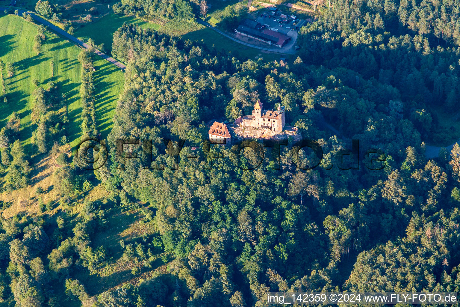 Vue aérienne de Château de Berwartstein vu du sud à Erlenbach bei Dahn dans le département Rhénanie-Palatinat, Allemagne