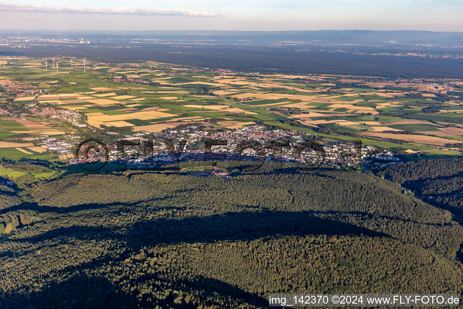 Vue aérienne de De l'ouest à Bad Bergzabern dans le département Rhénanie-Palatinat, Allemagne