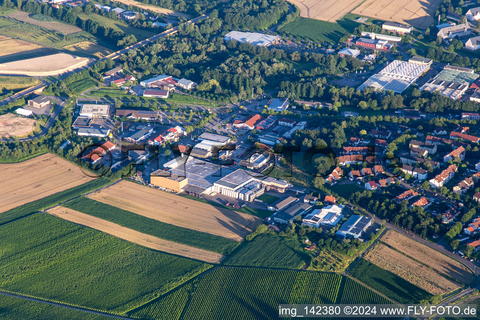 Vue aérienne de Zone commerciale Kurfürstenstr à le quartier Pleisweiler in Bad Bergzabern dans le département Rhénanie-Palatinat, Allemagne